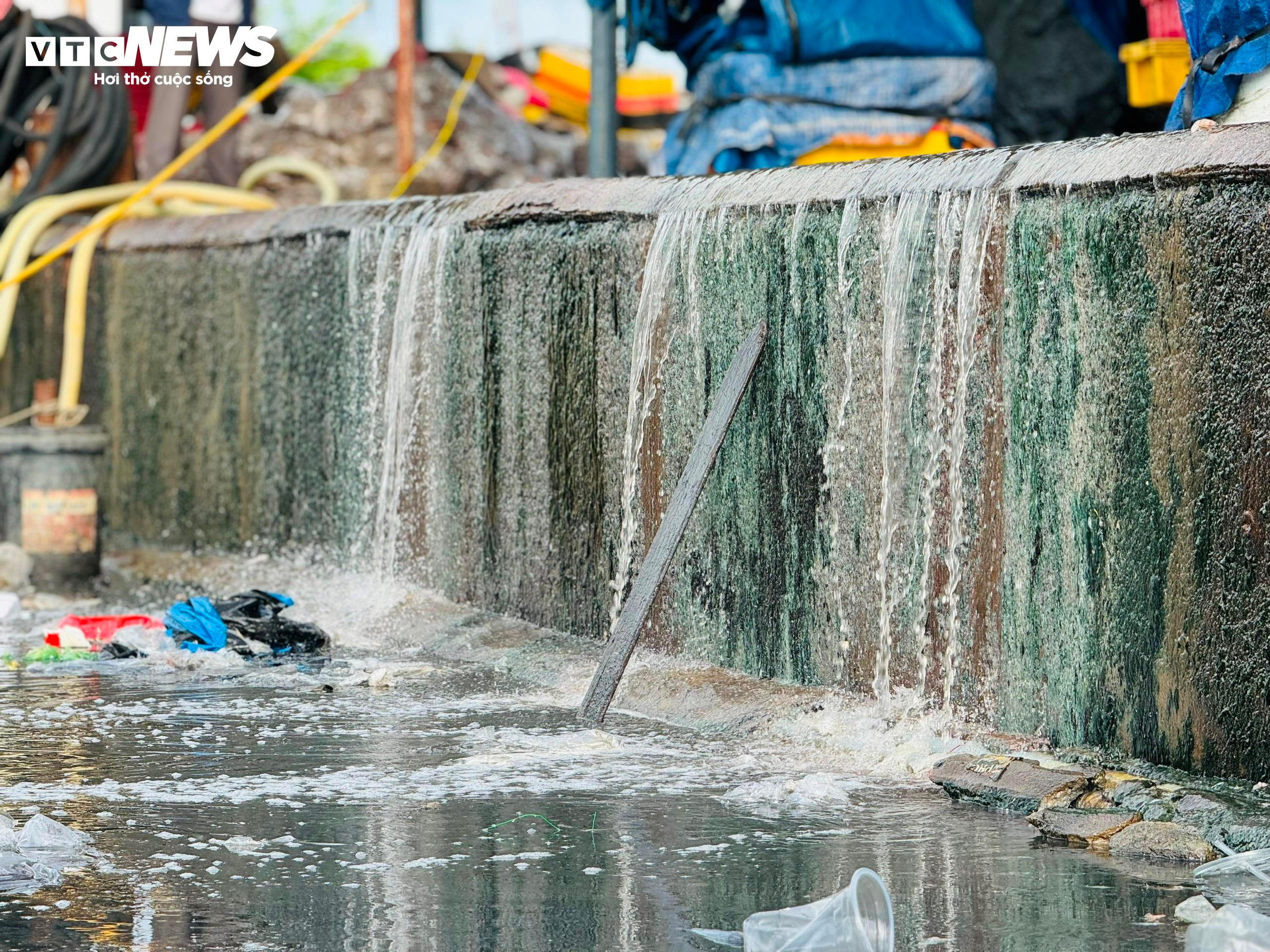 Kinh hãi nước thải, rác rưởi 'tra tấn' cảng cá ở Quảng Ngãi - 2