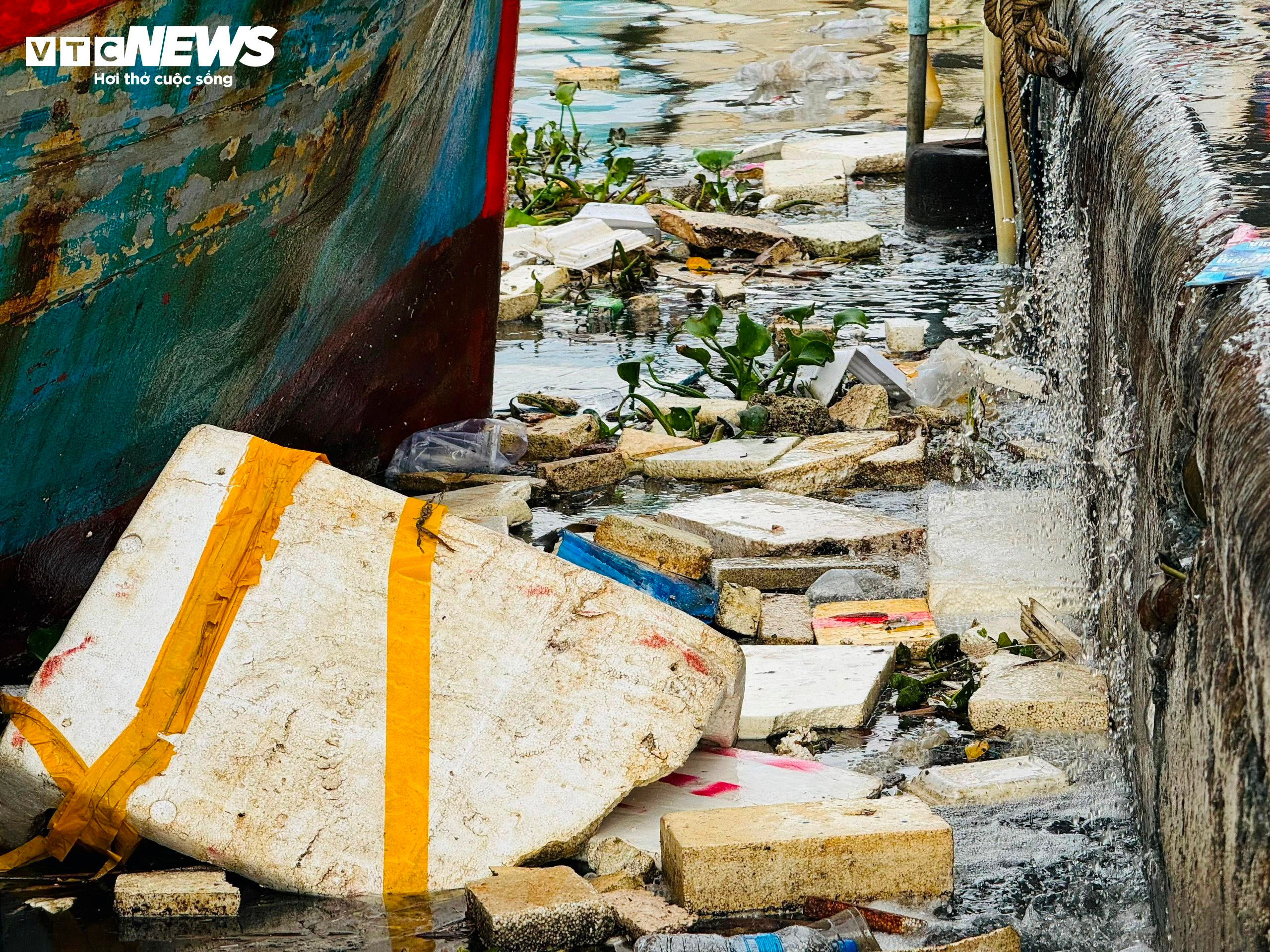 Kinh hãi nước thải, rác rưởi 'tra tấn' cảng cá ở Quảng Ngãi - 9