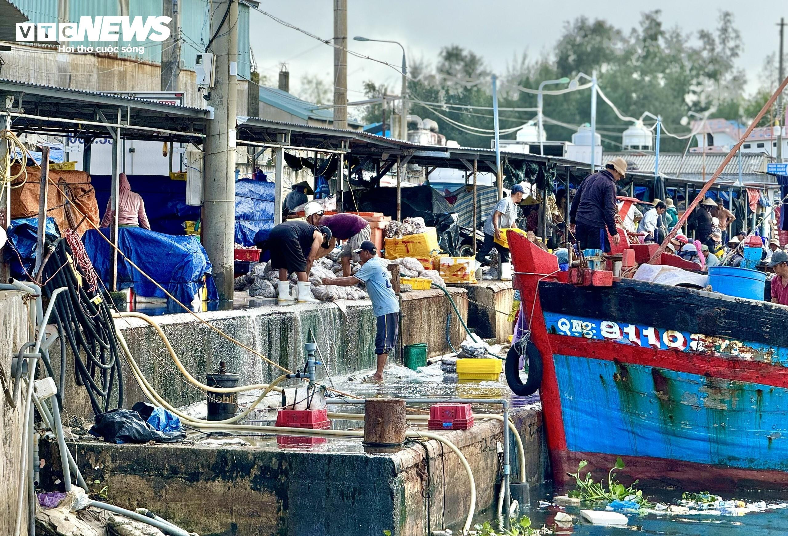 Kinh hãi nước thải, rác rưởi 'tra tấn' cảng cá ở Quảng Ngãi - 1