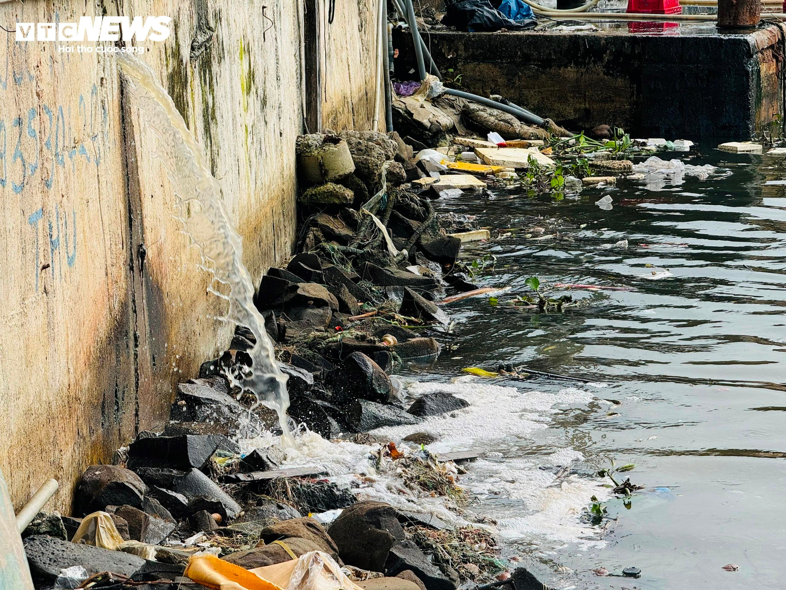Kinh hãi nước thải, rác rưởi 'tra tấn' cảng cá ở Quảng Ngãi - 4