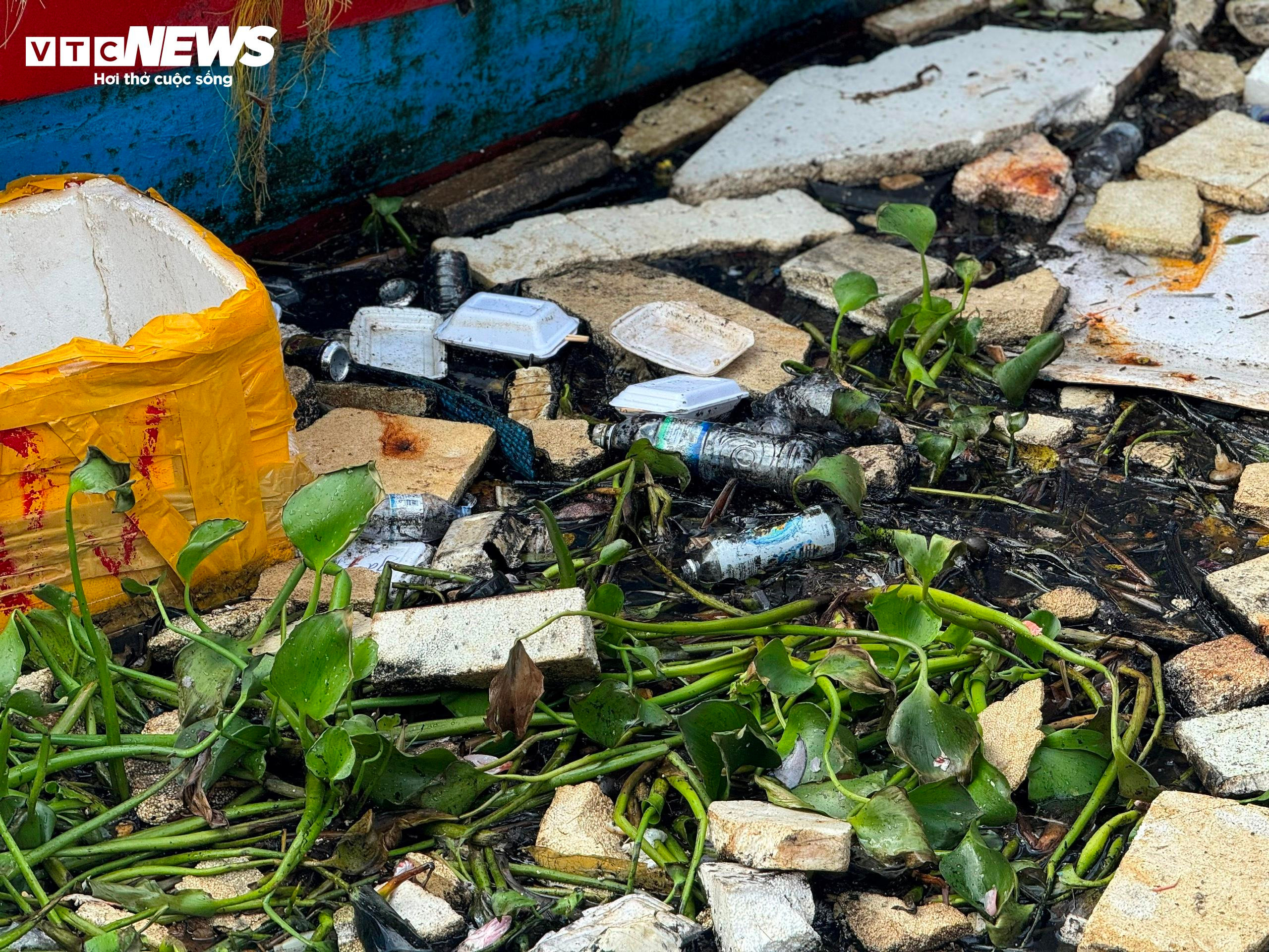 Kinh hãi nước thải, rác rưởi 'tra tấn' cảng cá ở Quảng Ngãi - 5