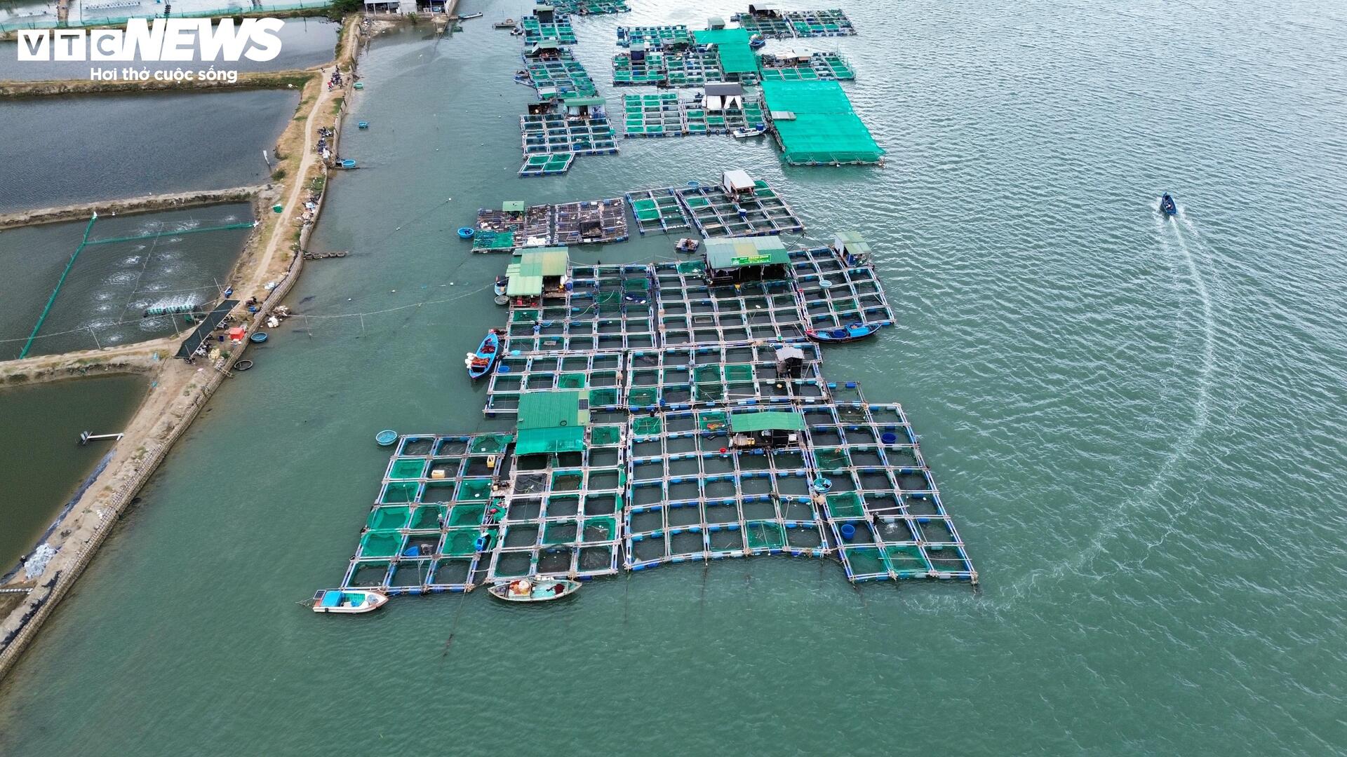 Rác thải nhựa, vỏ hàu bủa vây Đầm Nại ở Ninh Thuận - 9