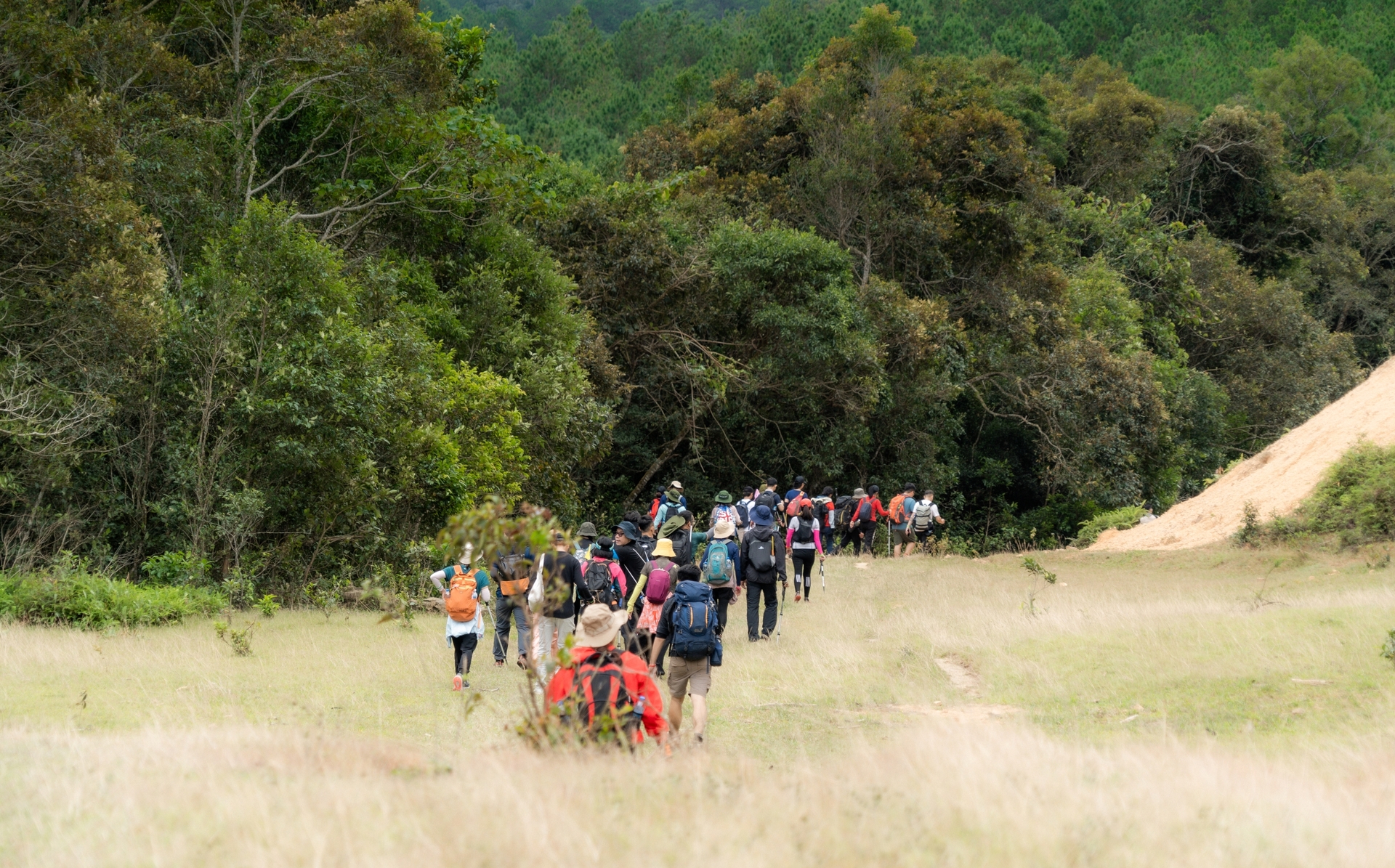 Trải nghiệm cung đường trekking đẹp nhất Việt Nam mùa cỏ cháy - 5