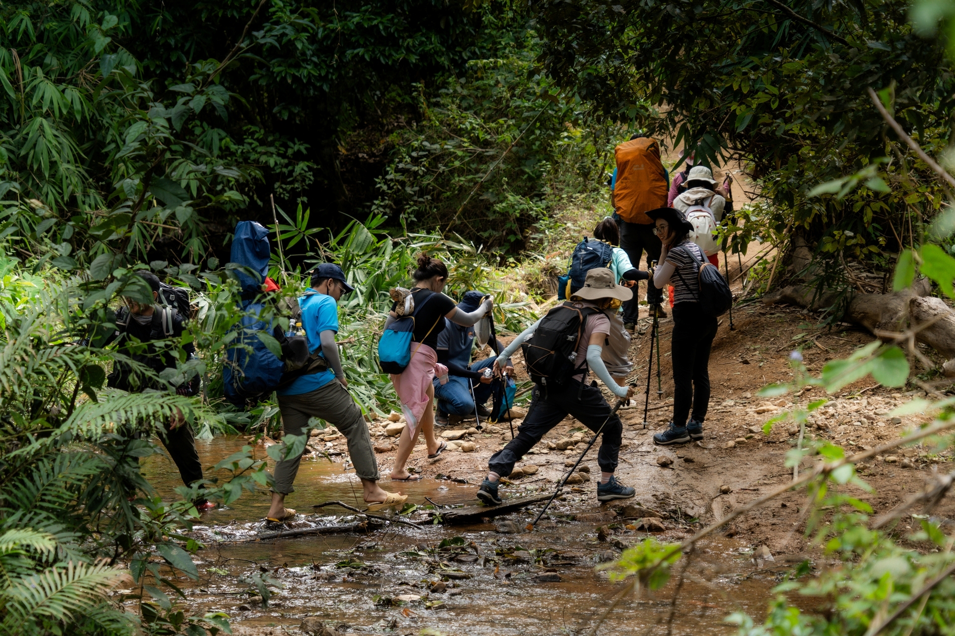 Trải nghiệm cung đường trekking đẹp nhất Việt Nam mùa cỏ cháy - 7