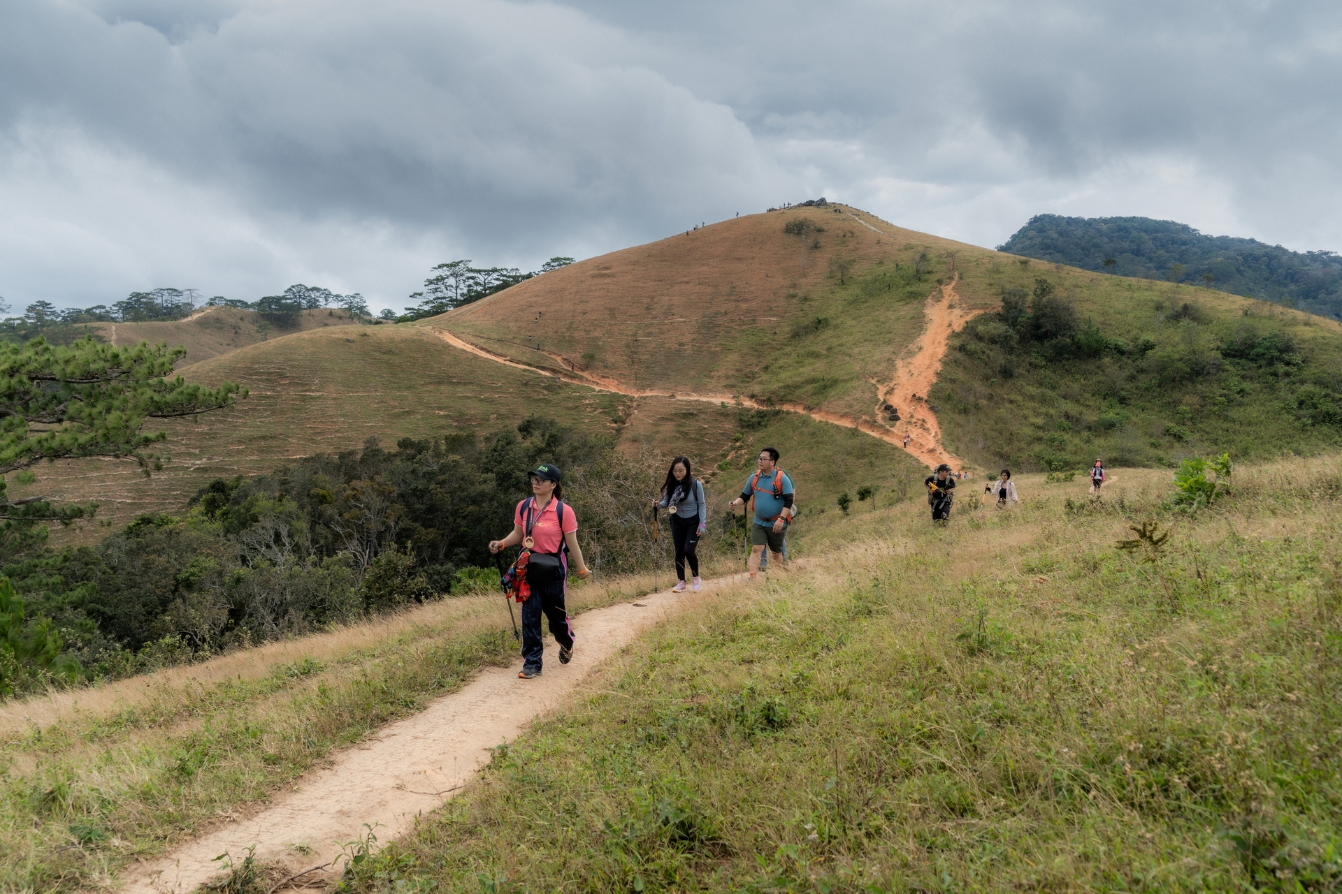 Trải nghiệm cung đường trekking đẹp nhất Việt Nam mùa cỏ cháy - 11