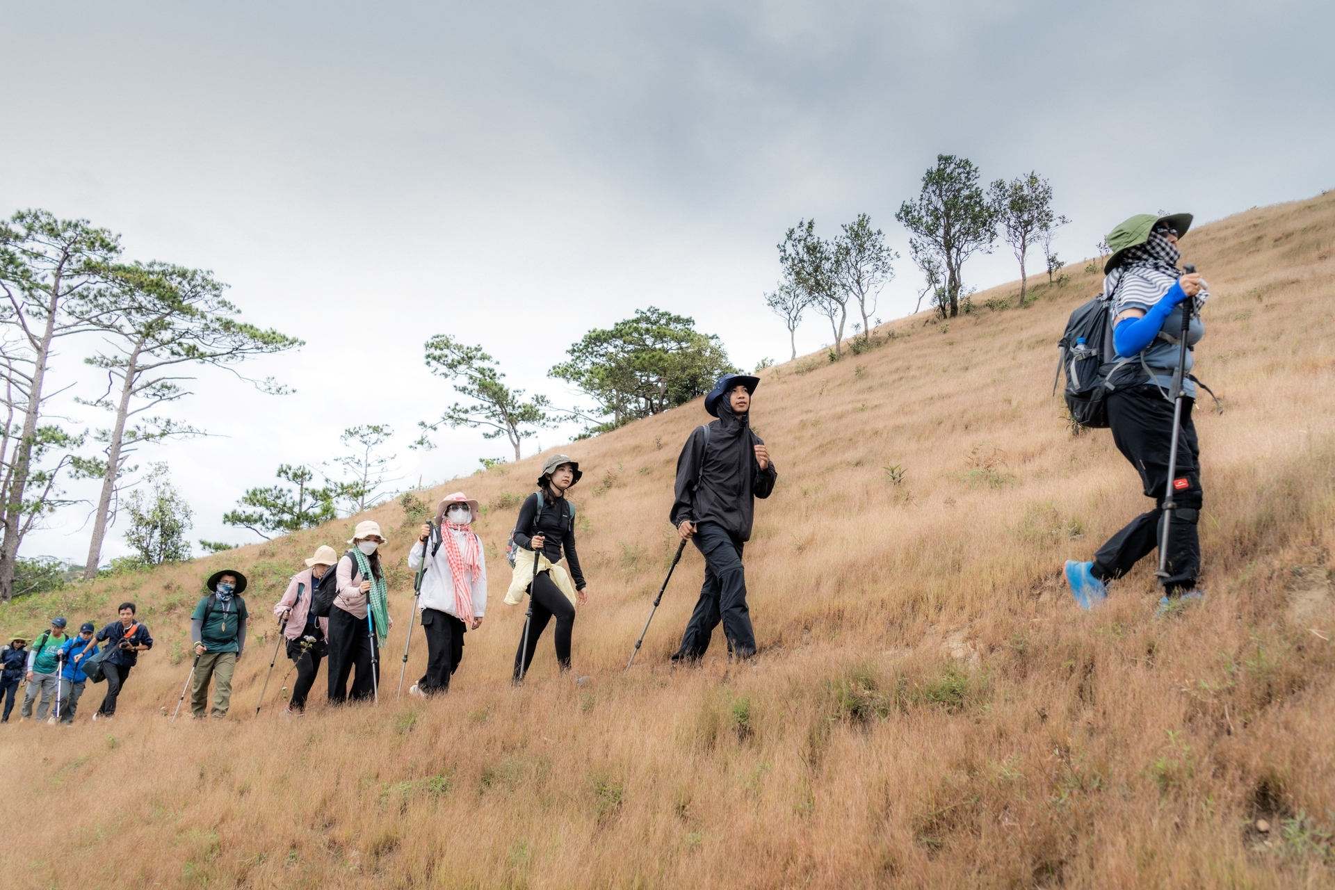 Trải nghiệm cung đường trekking đẹp nhất Việt Nam mùa cỏ cháy - 12