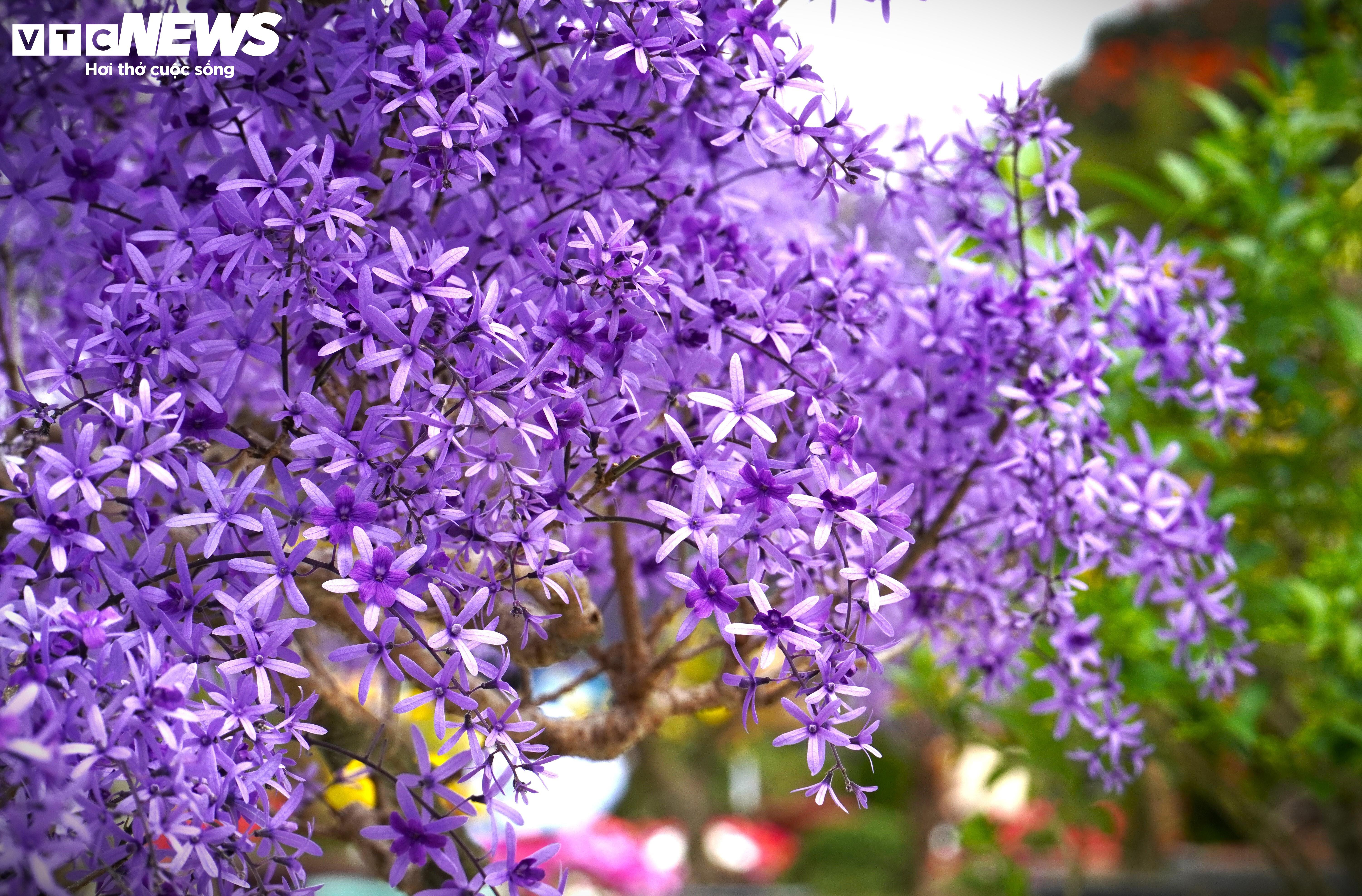 Du khách đổ xô tới Festival hoa Đà Lạt 2024 dịp cuối tuần - 8