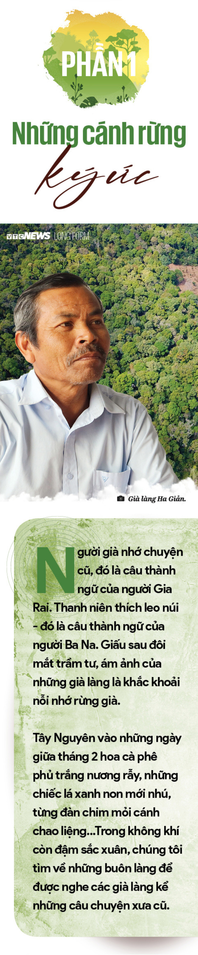 Làm gì còn nhiều rừng mà gọi là 'Đại ngàn Tây Nguyên' - 2