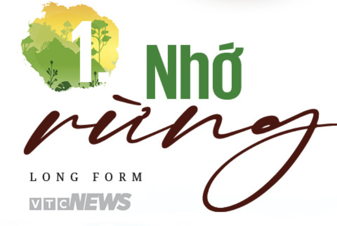 Làm gì còn nhiều rừng mà gọi là 'Đại ngàn Tây Nguyên' - 4