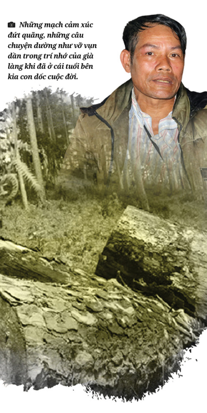 Làm gì còn nhiều rừng mà gọi là 'Đại ngàn Tây Nguyên' - 8