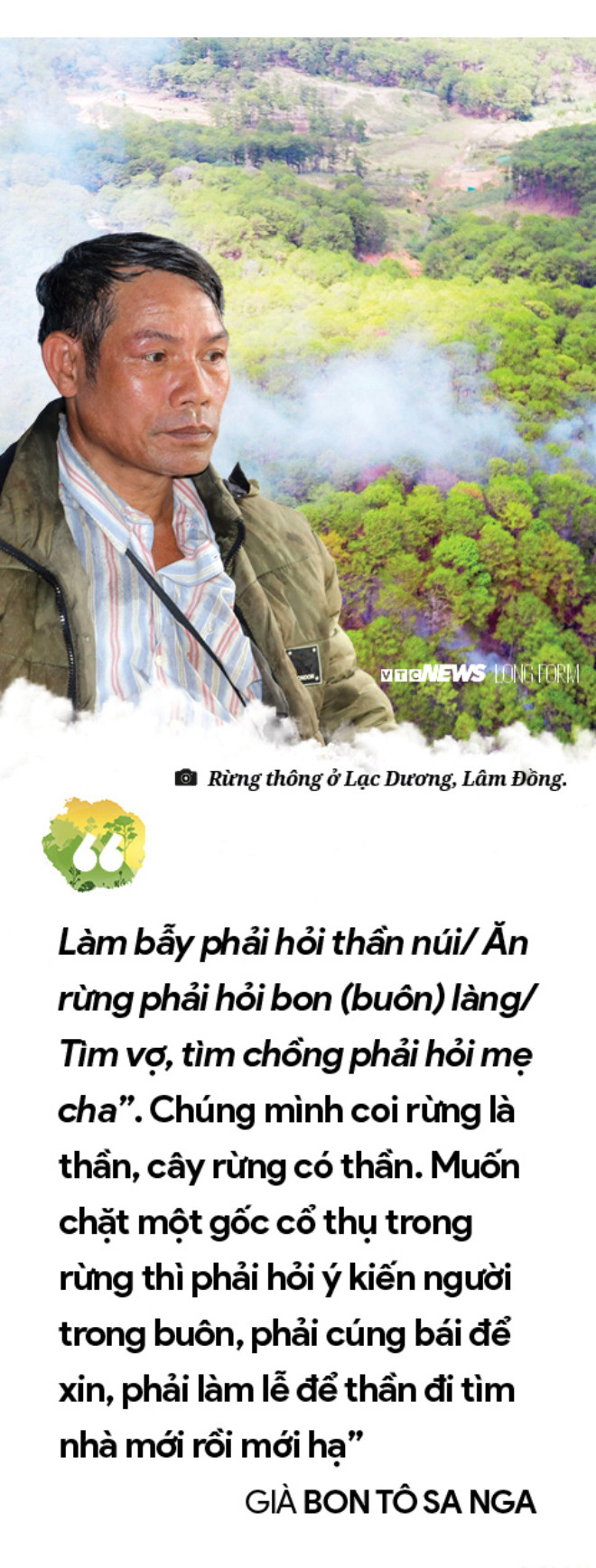 Làm gì còn nhiều rừng mà gọi là 'Đại ngàn Tây Nguyên' - 10