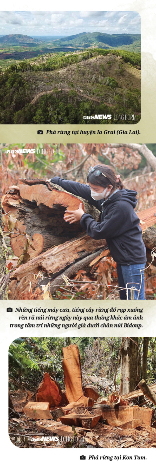 Làm gì còn nhiều rừng mà gọi là 'Đại ngàn Tây Nguyên' - 12