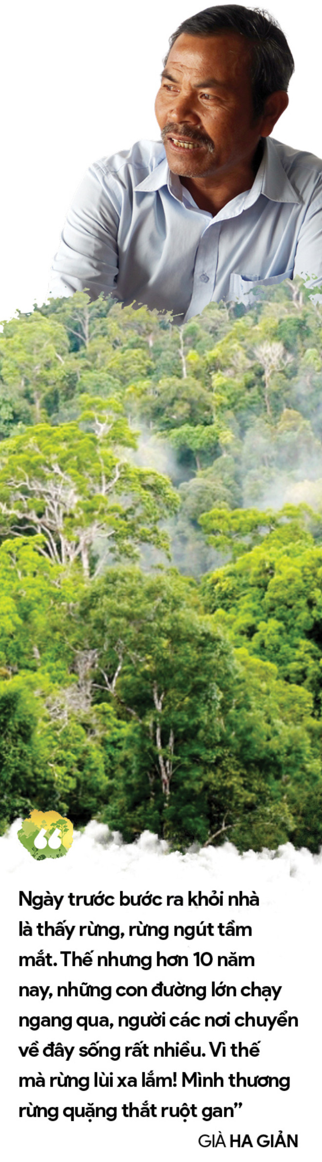 Làm gì còn nhiều rừng mà gọi là 'Đại ngàn Tây Nguyên' - 14