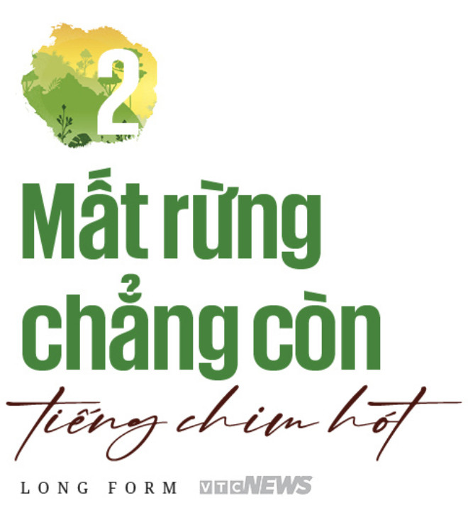 Làm gì còn nhiều rừng mà gọi là 'Đại ngàn Tây Nguyên' - 16