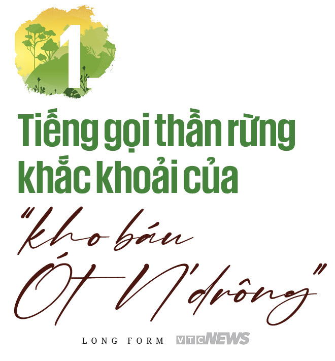 Rừng hết, muôn thú vãn, hết trường ca Đam San - 2