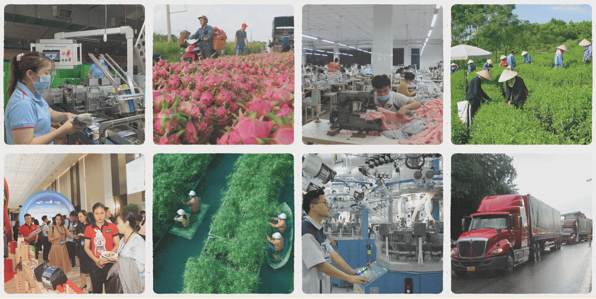 10 sự kiện, vấn đề trong nước nổi bật năm 2024 do VOV bình chọn - 8