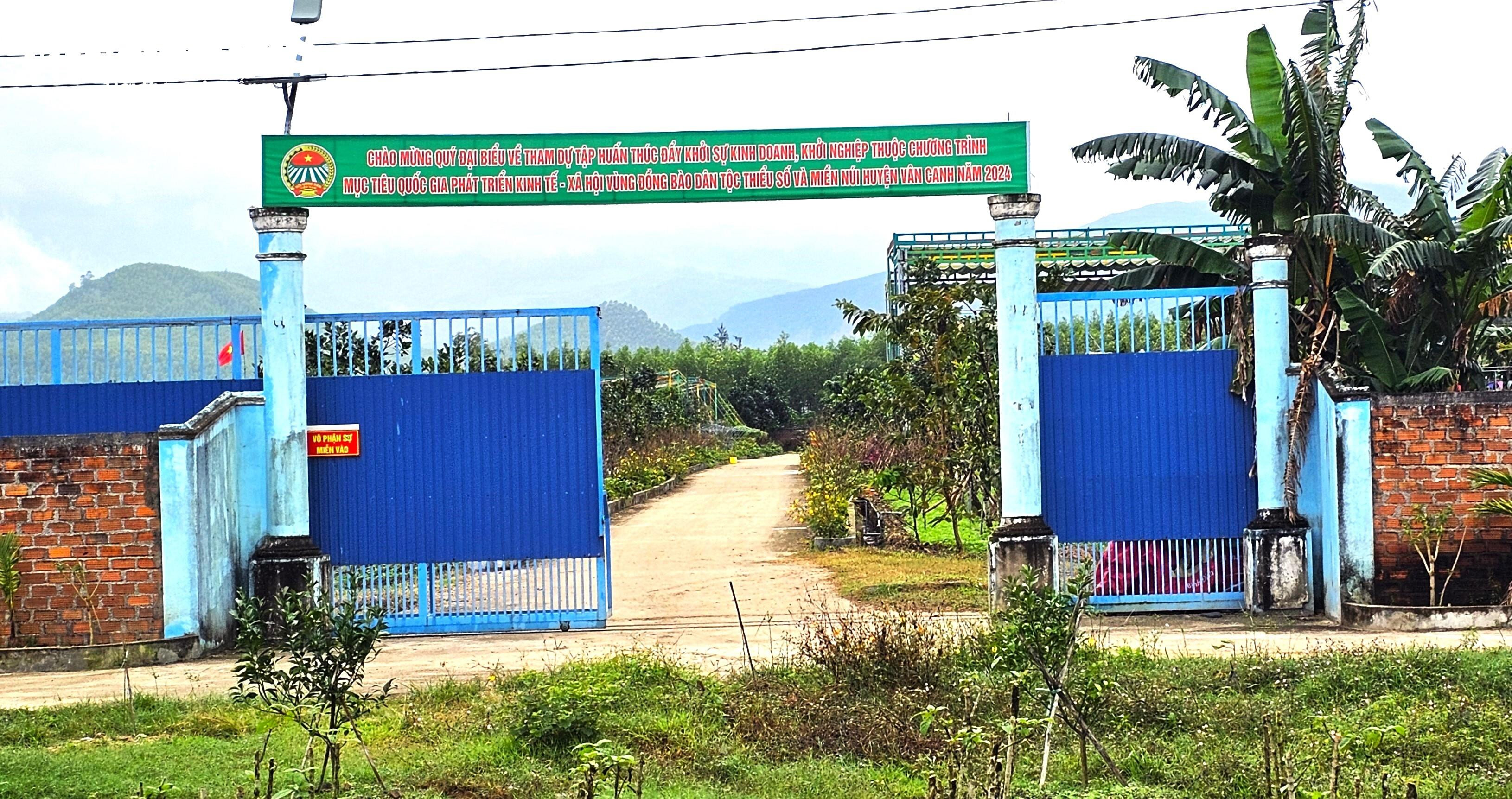 Cận cảnh dự án sản xuất rau an toàn trái phép tại Bình Định - 9