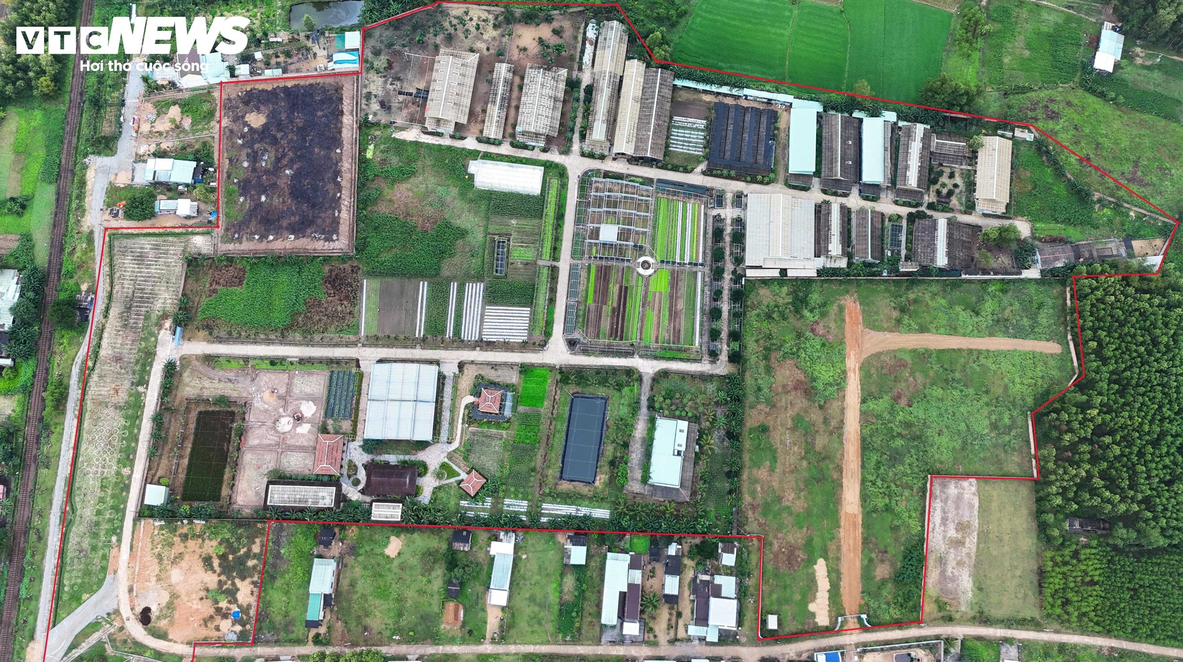 Cận cảnh dự án sản xuất rau an toàn trái phép tại Bình Định - 2