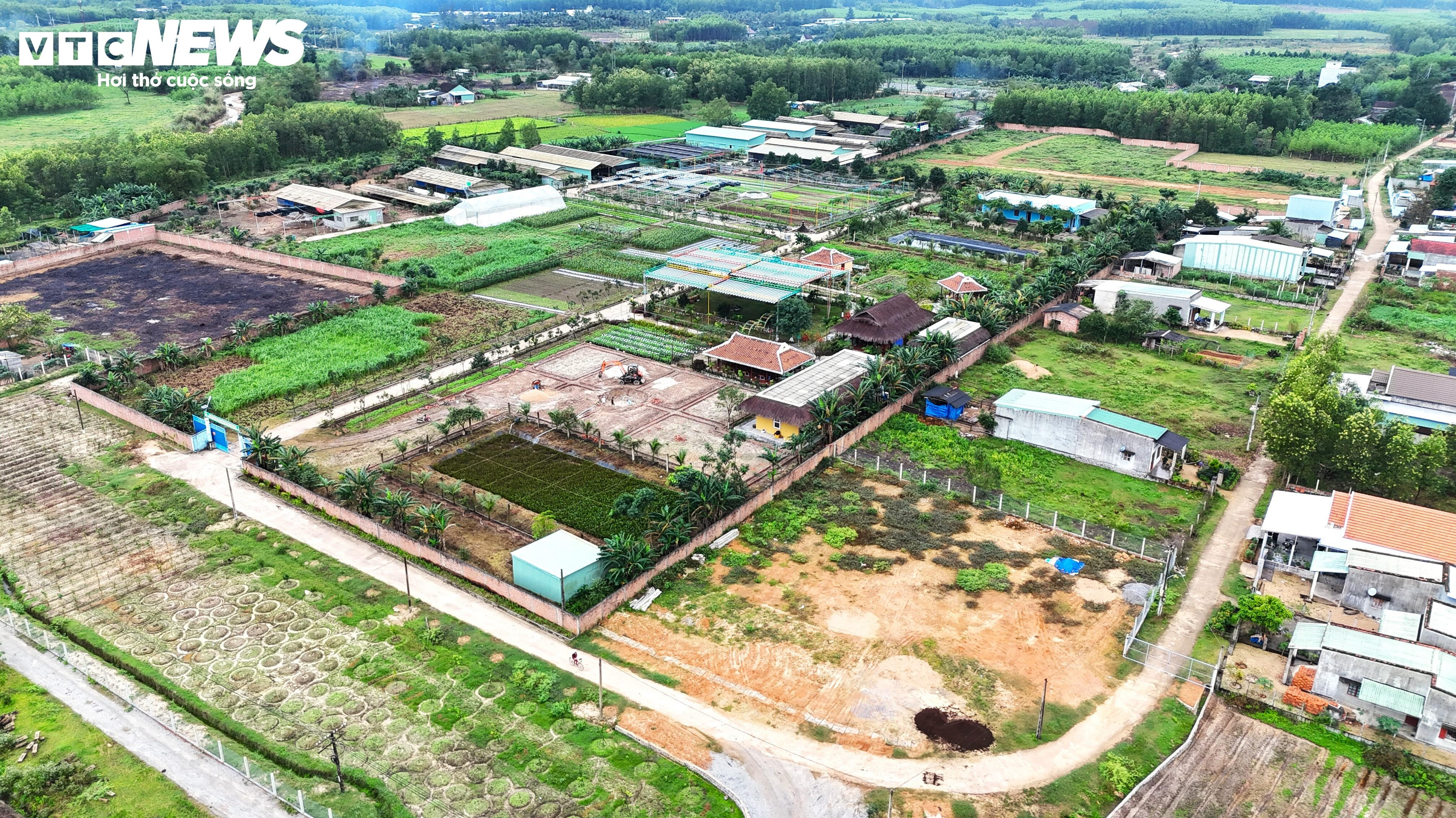 Cận cảnh dự án sản xuất rau an toàn trái phép tại Bình Định - 10