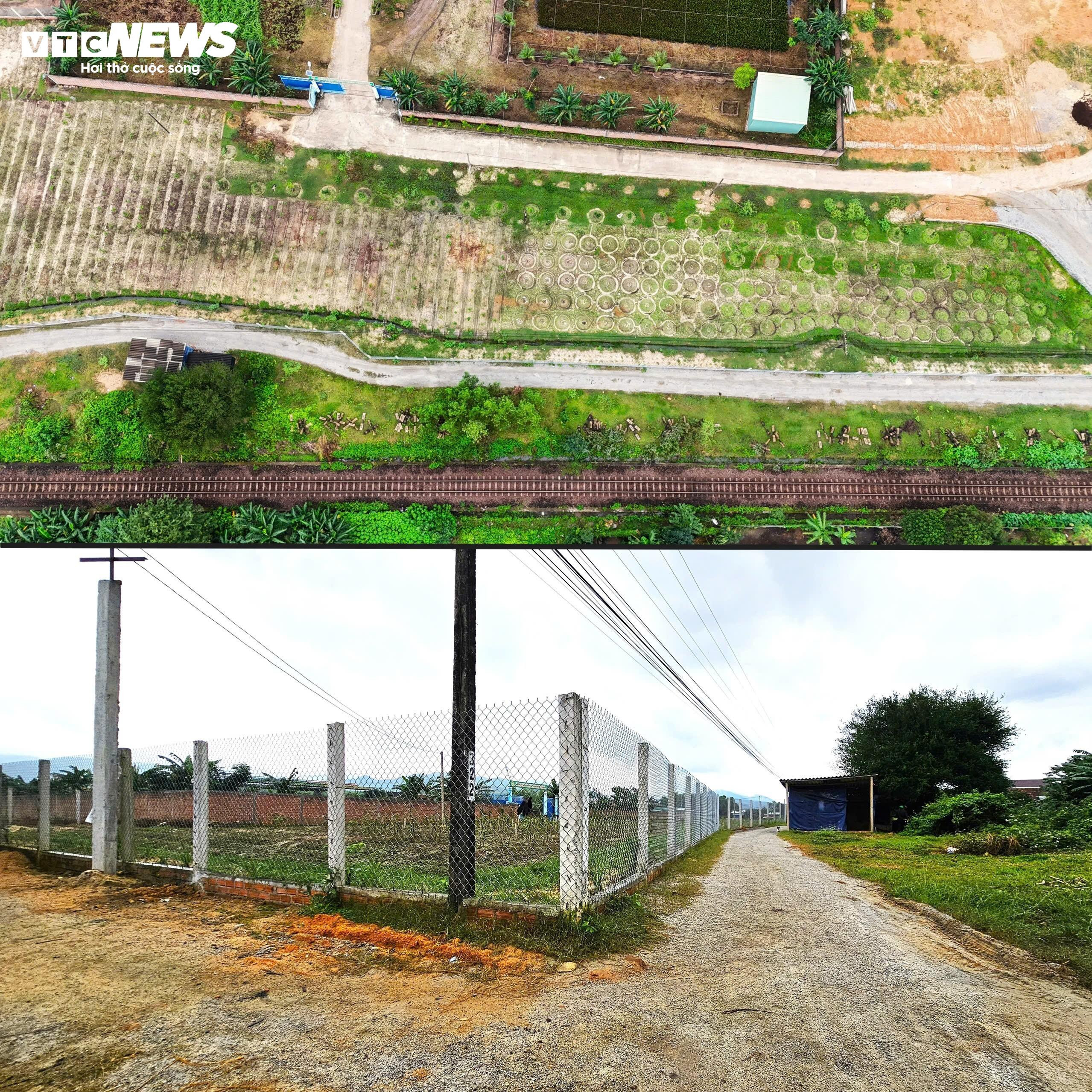 Cận cảnh dự án sản xuất rau an toàn trái phép tại Bình Định - 5