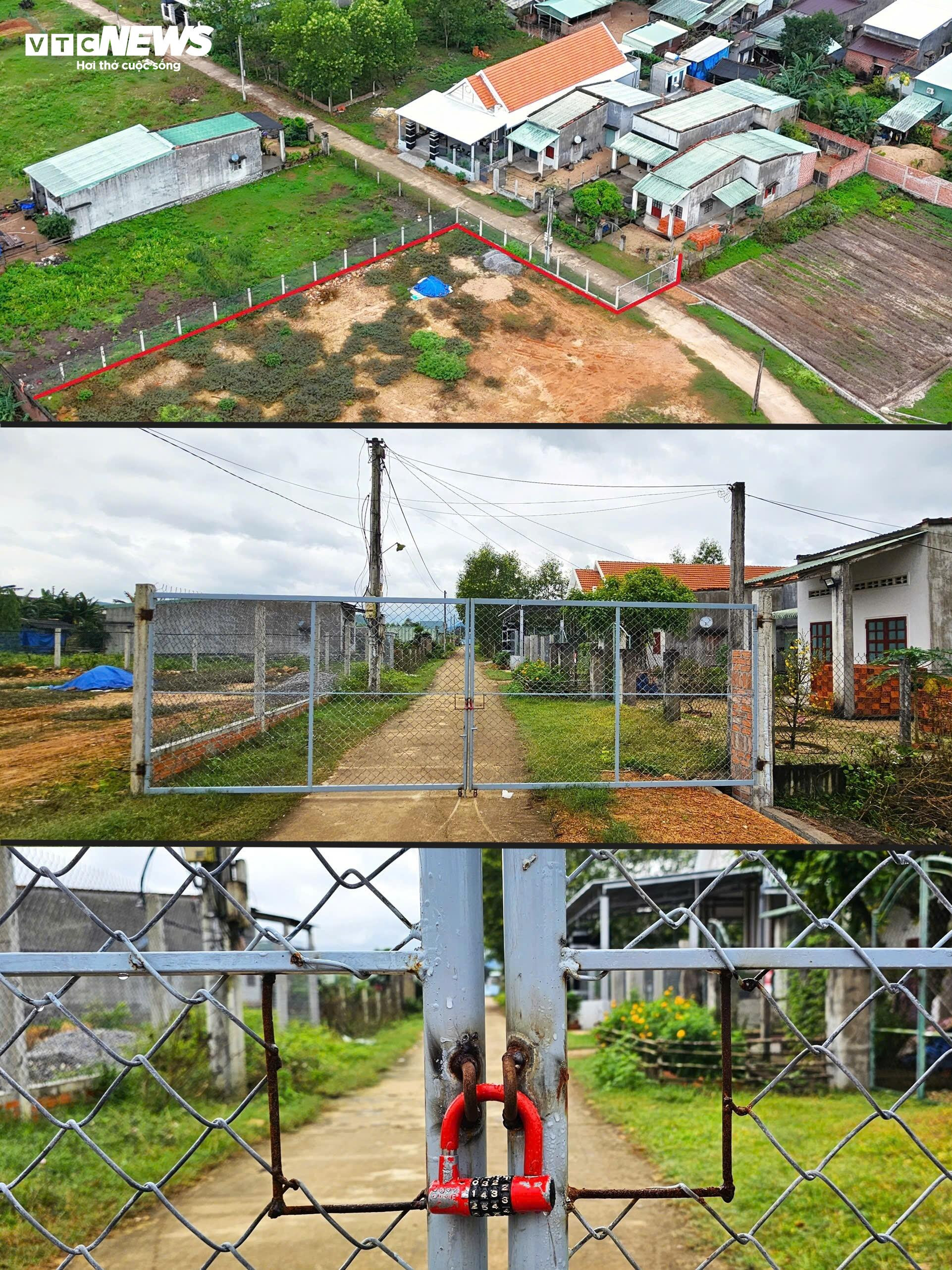 Cận cảnh dự án sản xuất rau an toàn trái phép tại Bình Định - 6