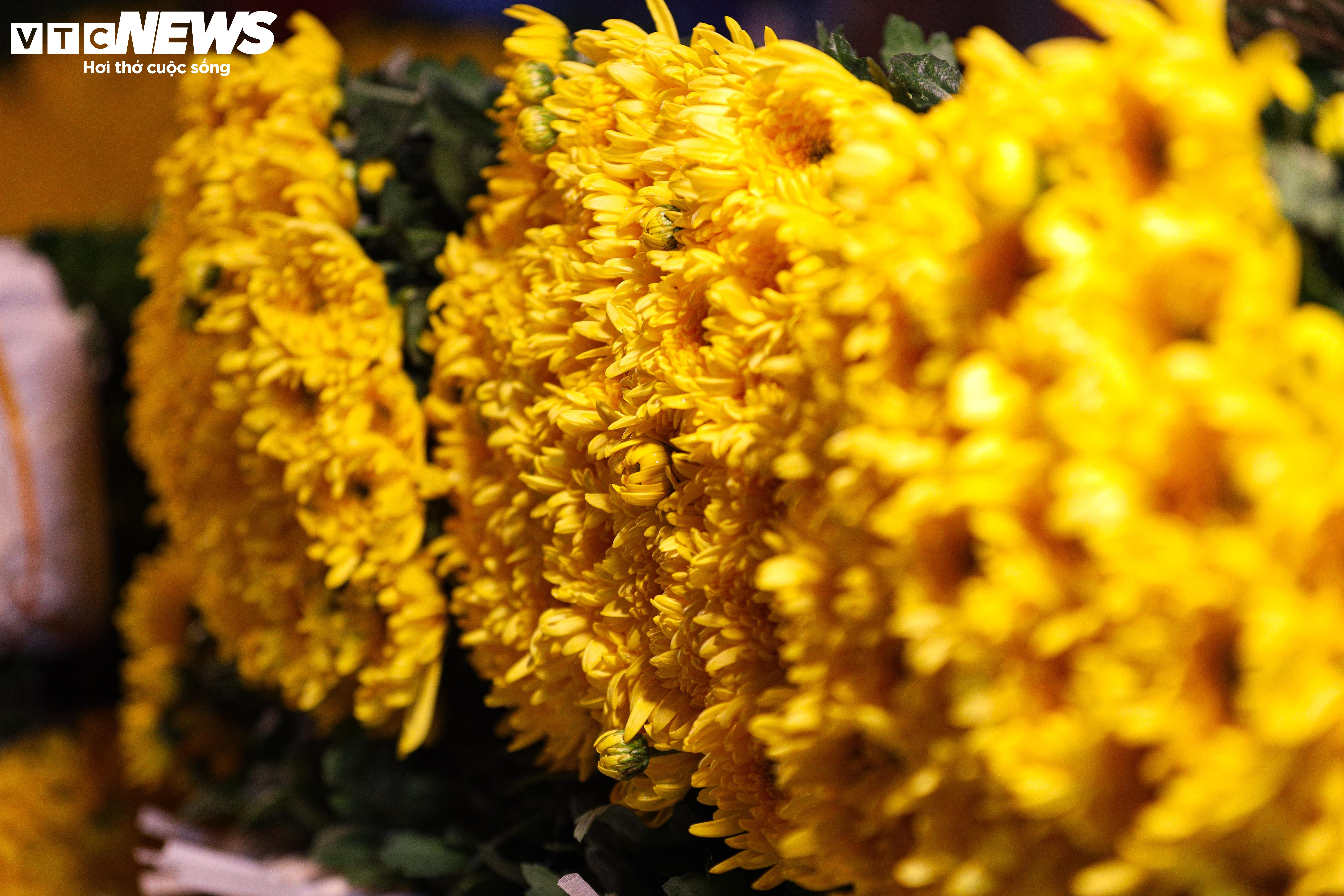 Dòng người đổ về chợ hoa đầu mối Hà Nội mua bán xuyên đêm - 14