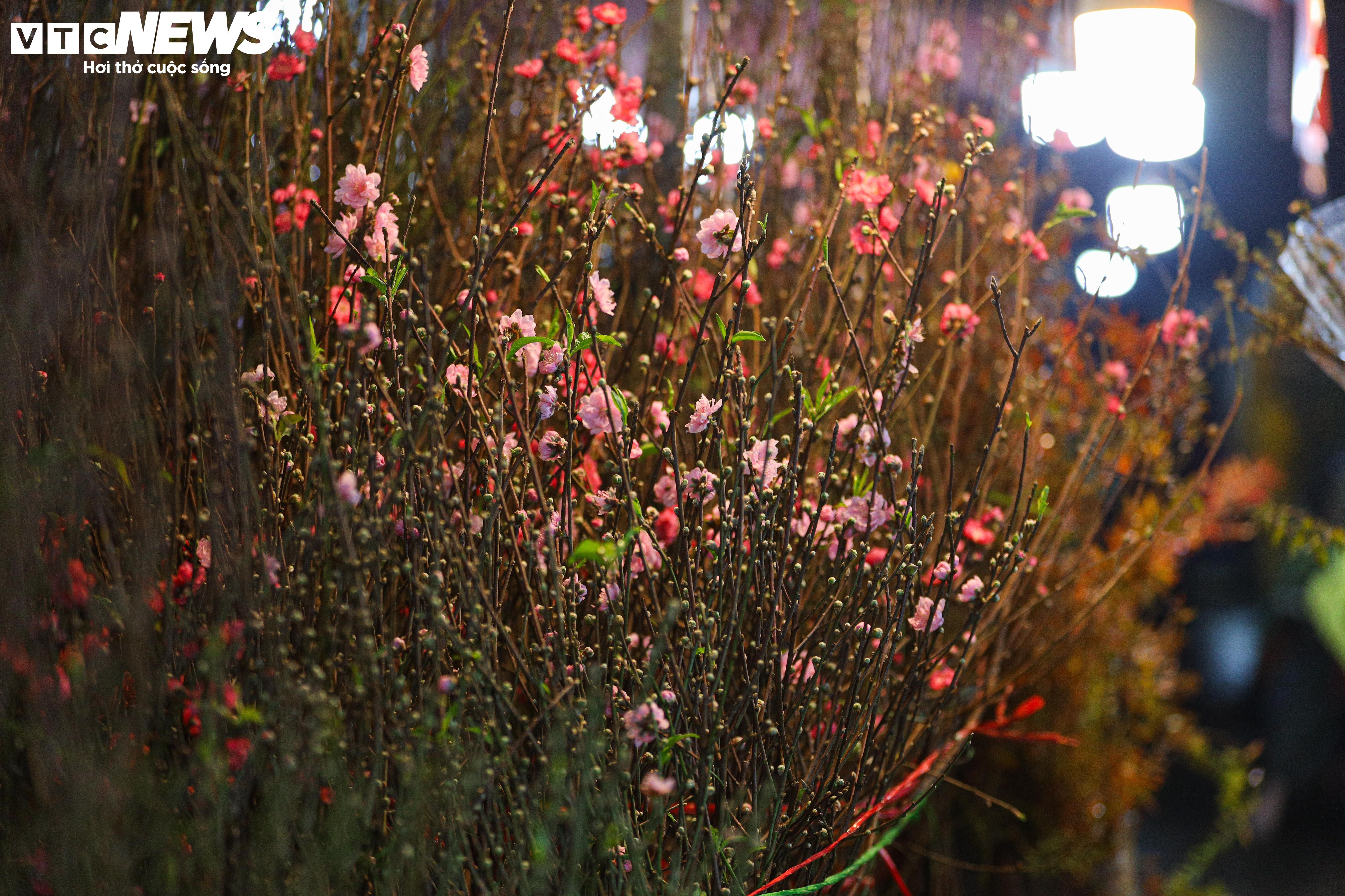 Dòng người đổ về chợ hoa đầu mối Hà Nội mua bán xuyên đêm - 10