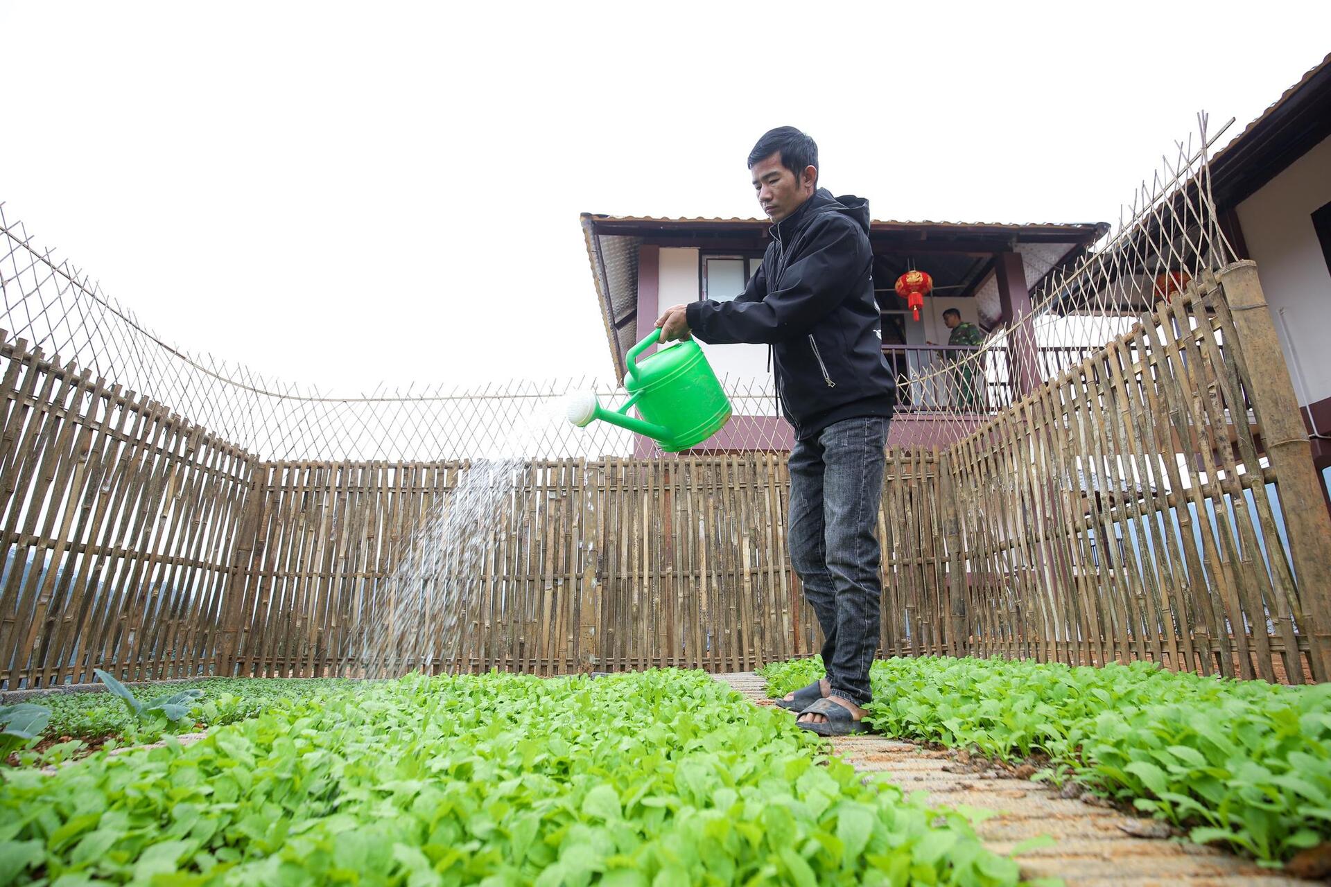 Làng Nủ khoác áo mới, hồi sinh sau thảm họa lũ quét - 12