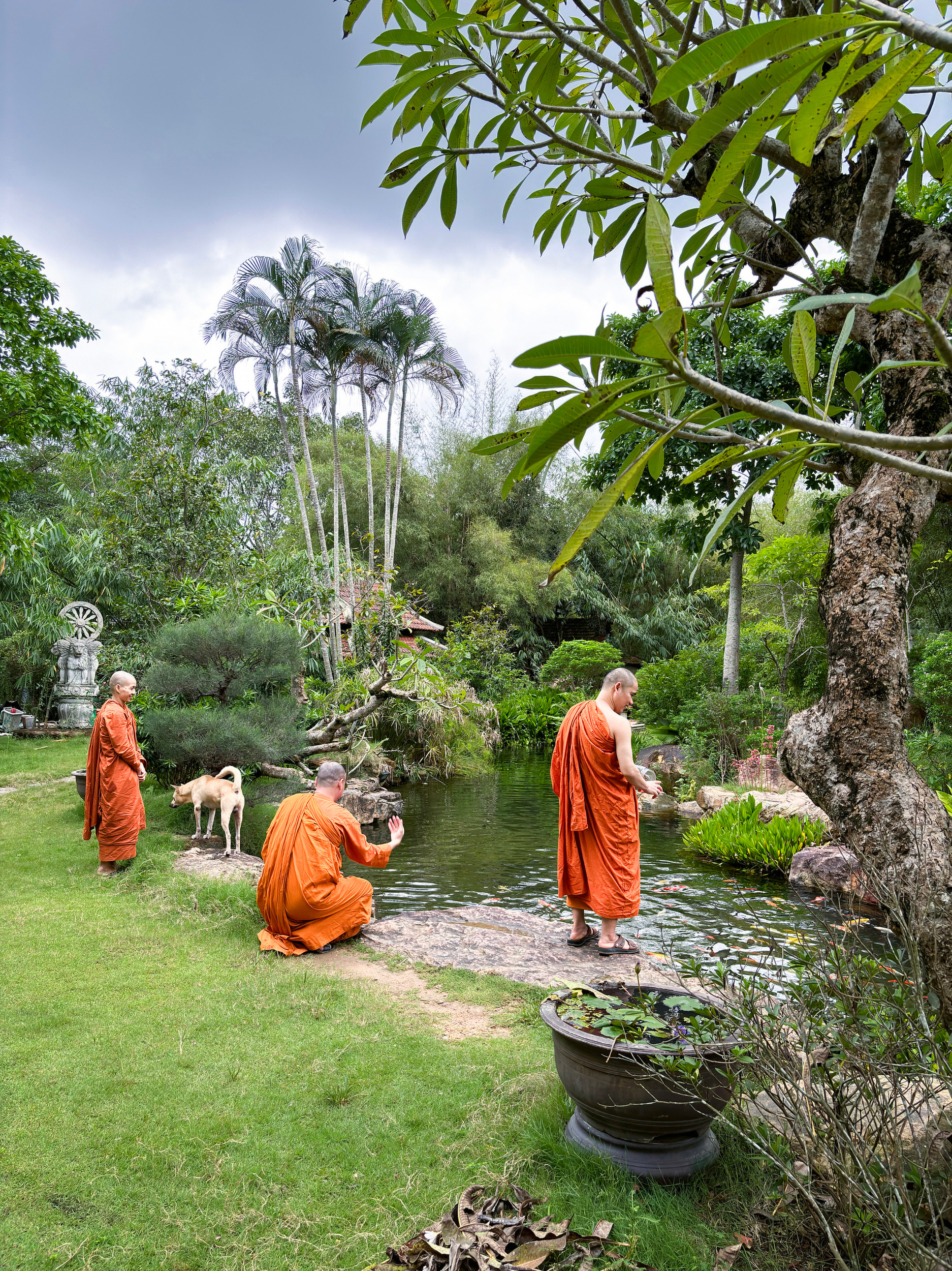 Nhà báo Mỹ Catherine Karnow: Kết nối với Việt Nam bằng tình yêu nhiếp ảnh - 4