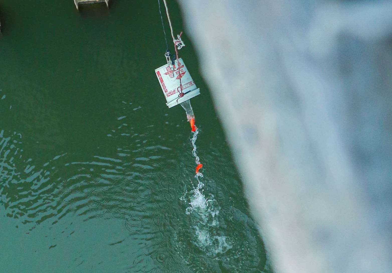 Cá chép 'đu dây' xuống sông Hồng tiễn ông Công ông Táo về trời - 8