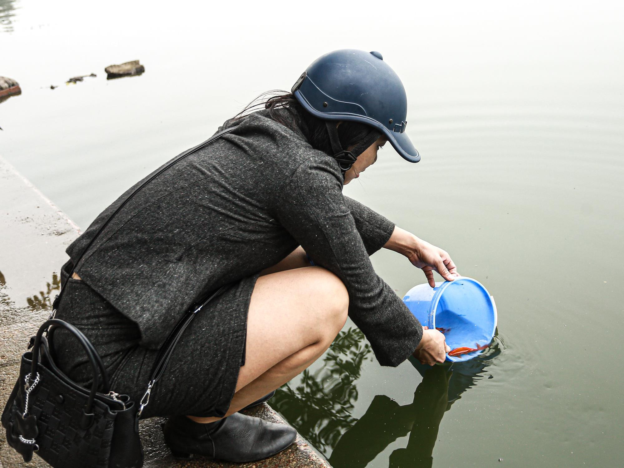 Cá chép 'đu dây' xuống sông Hồng tiễn ông Công ông Táo về trời - 14