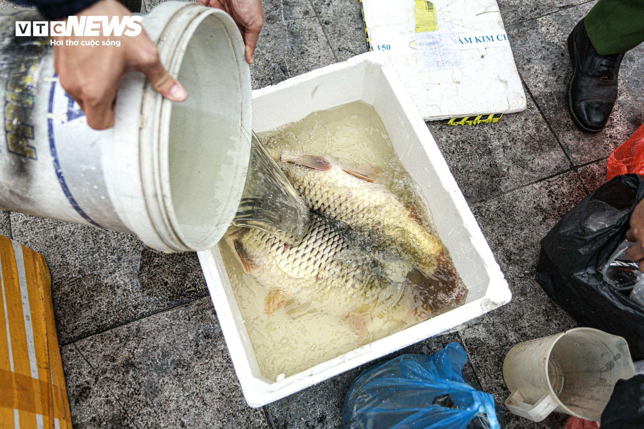 Cá chép 'đu dây' xuống sông Hồng tiễn ông Công ông Táo về trời - 17