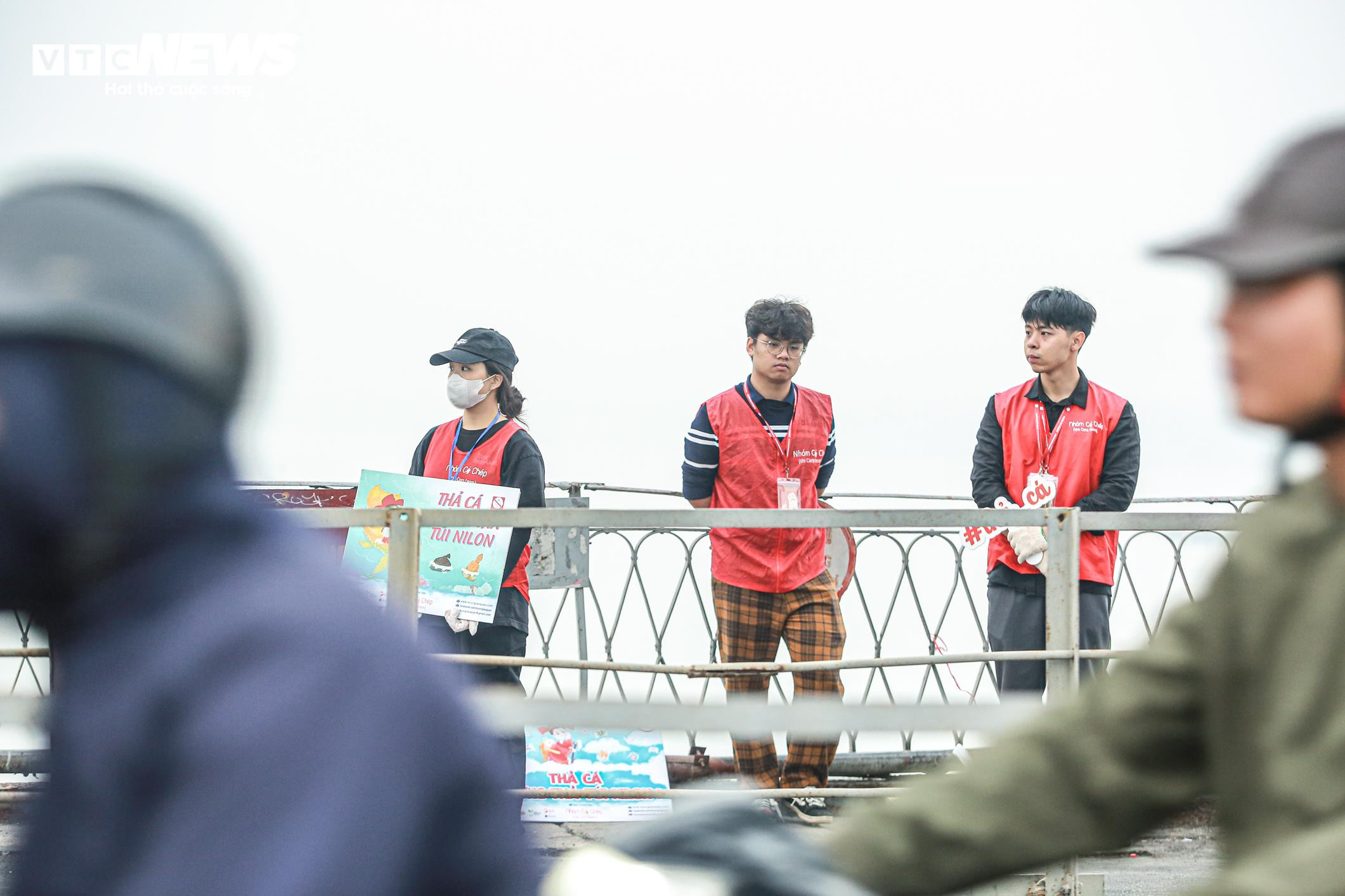 Cá chép 'đu dây' xuống sông Hồng tiễn ông Công ông Táo về trời - 3