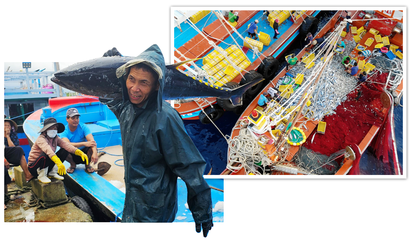 Ra khơi, bảo vệ ngư trường truyền thống là mệnh lệnh từ trái tim - 3