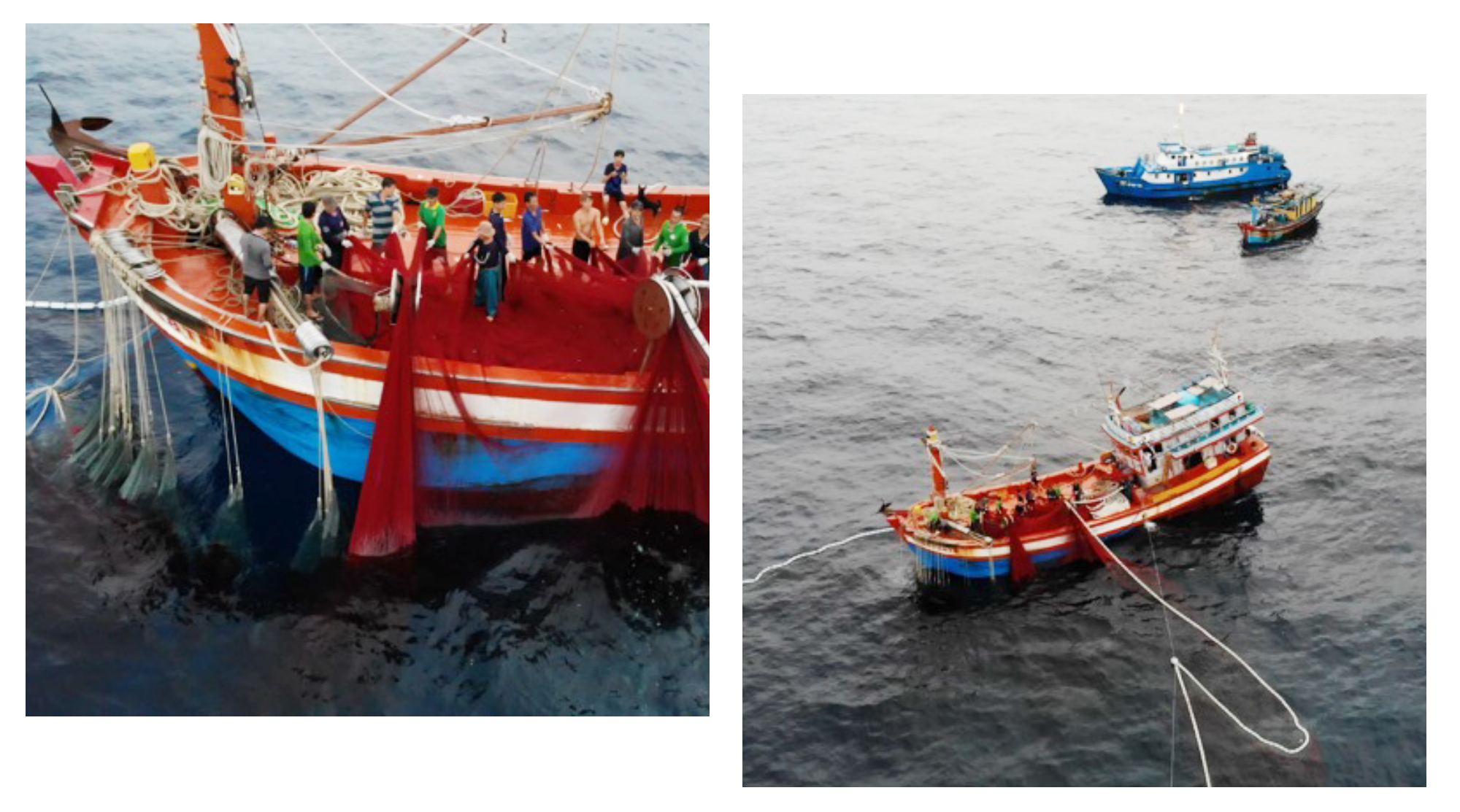 Cuộc vây bắt luồng cá khổng lồ nơi ‘hiểm nhất’ ngư trường Tư Chính - 2