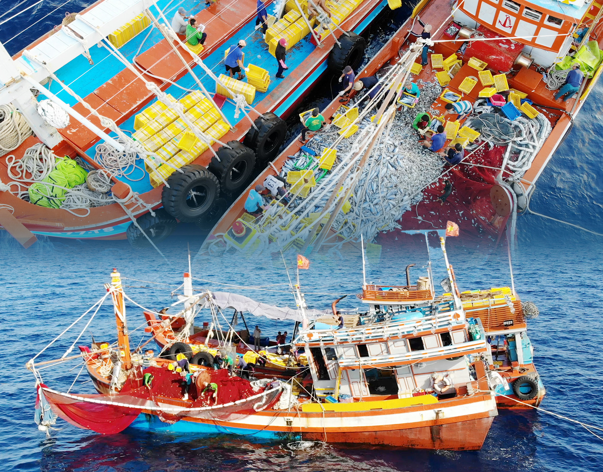 Cuộc vây bắt luồng cá khổng lồ nơi ‘hiểm nhất’ ngư trường Tư Chính - 3