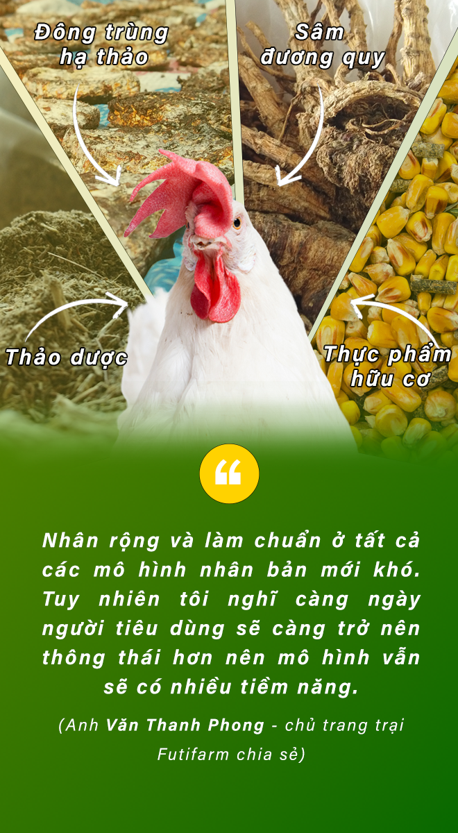 Gà ăn đông trùng - thu trứng hạnh phúc - 4