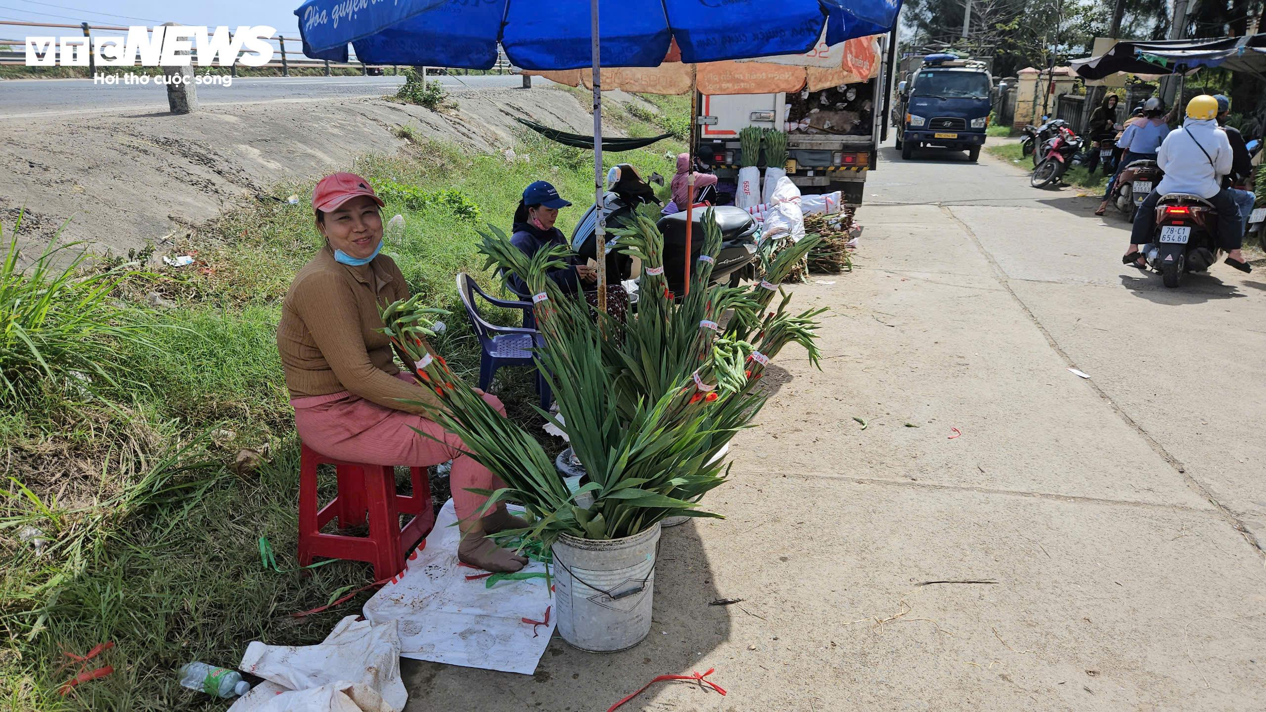 Thủ phủ hoa lay ơn ở Phú Yên mất mùa, nông dân lo mất Tết - 9