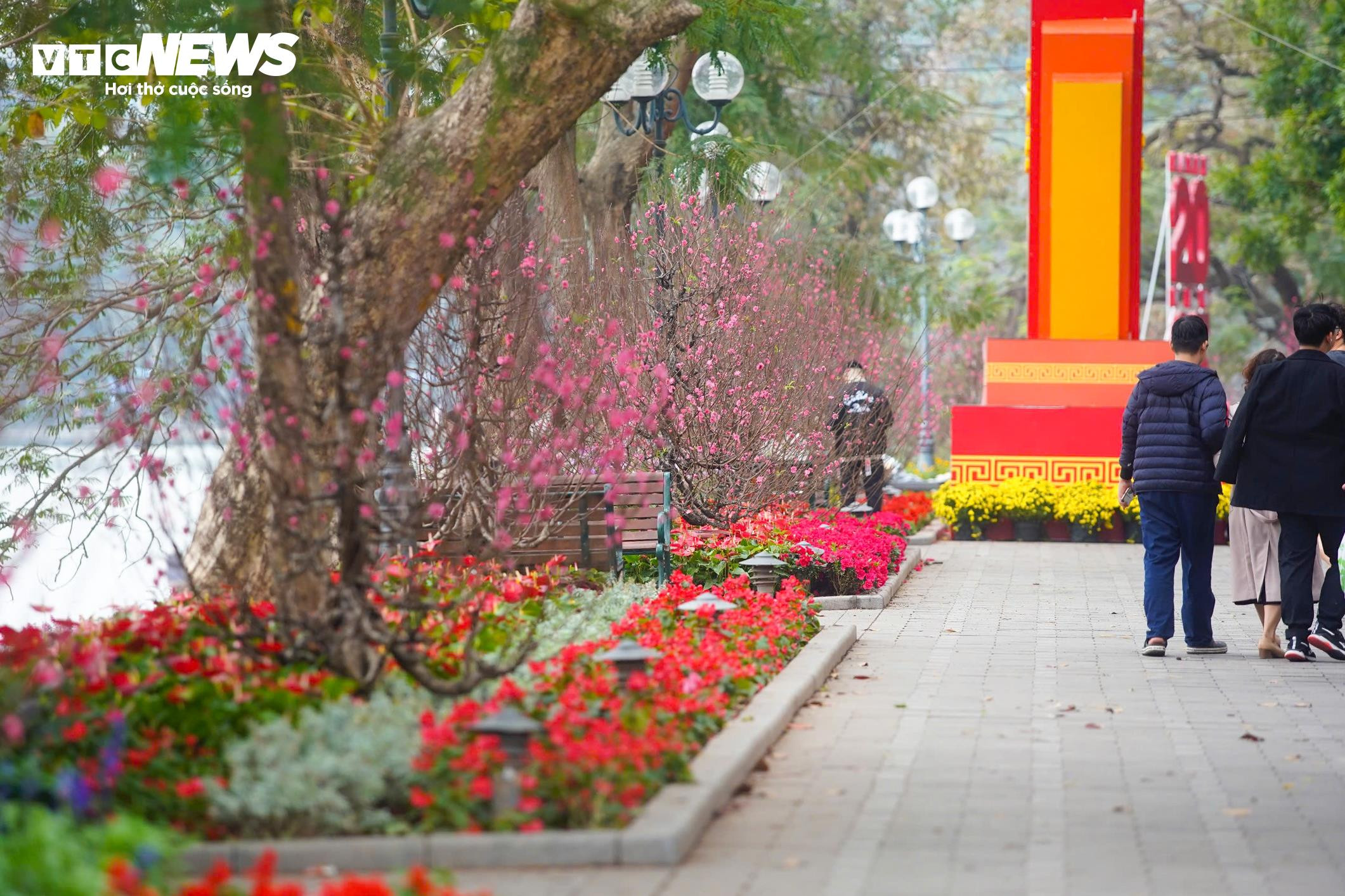 Thiếu nữ Hà Nội diện áo dài bên hoa đào, dạo hồ Gươm dịp cuối năm - 1