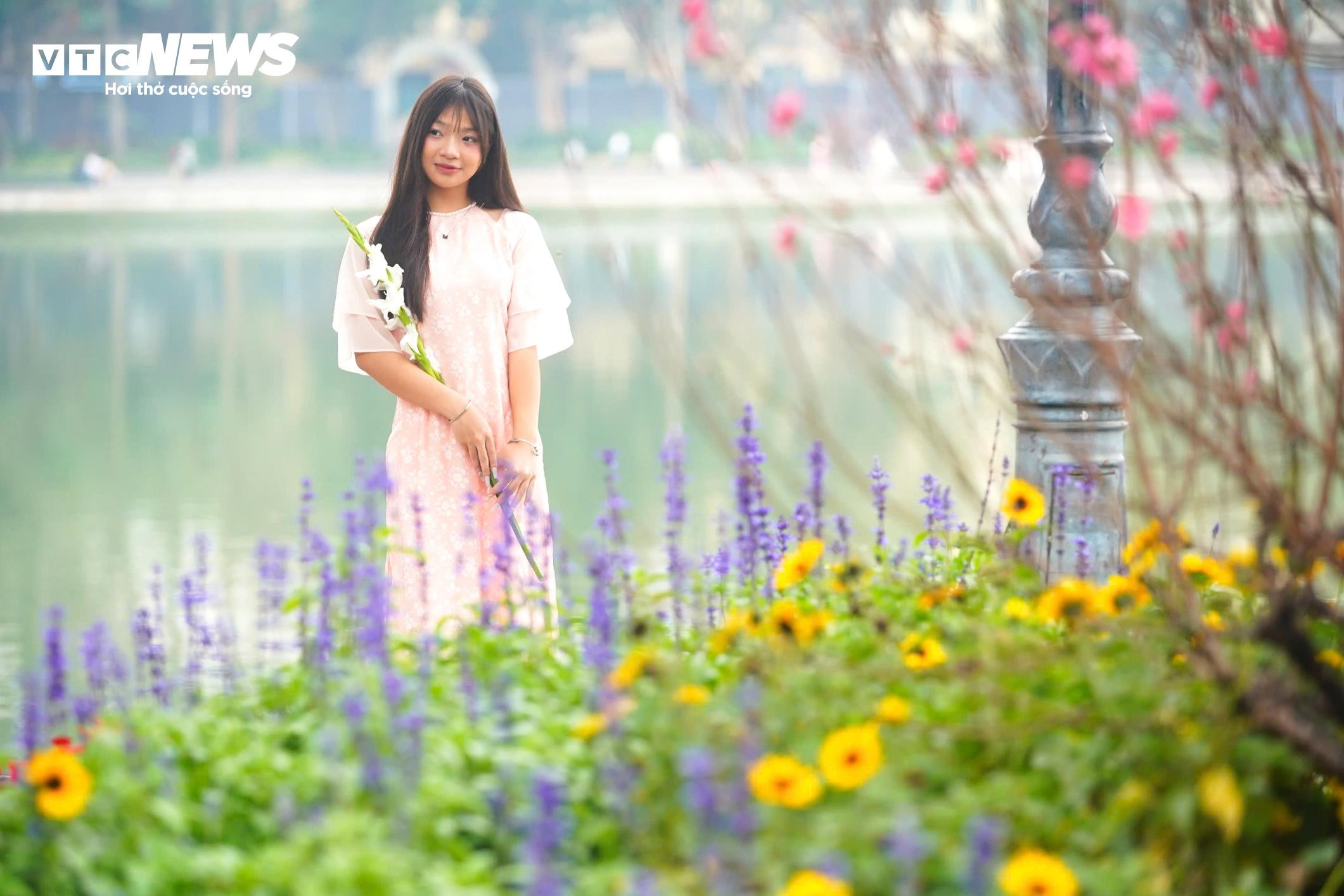 Thiếu nữ Hà Nội diện áo dài bên hoa đào, dạo hồ Gươm dịp cuối năm - 6