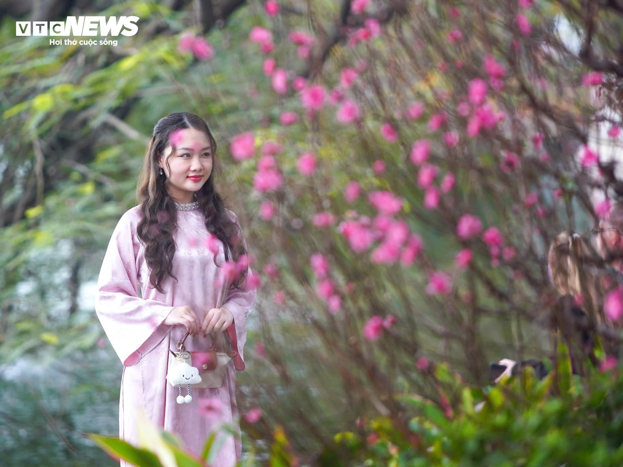 Thiếu nữ Hà Nội diện áo dài bên hoa đào, dạo hồ Gươm dịp cuối năm - 3