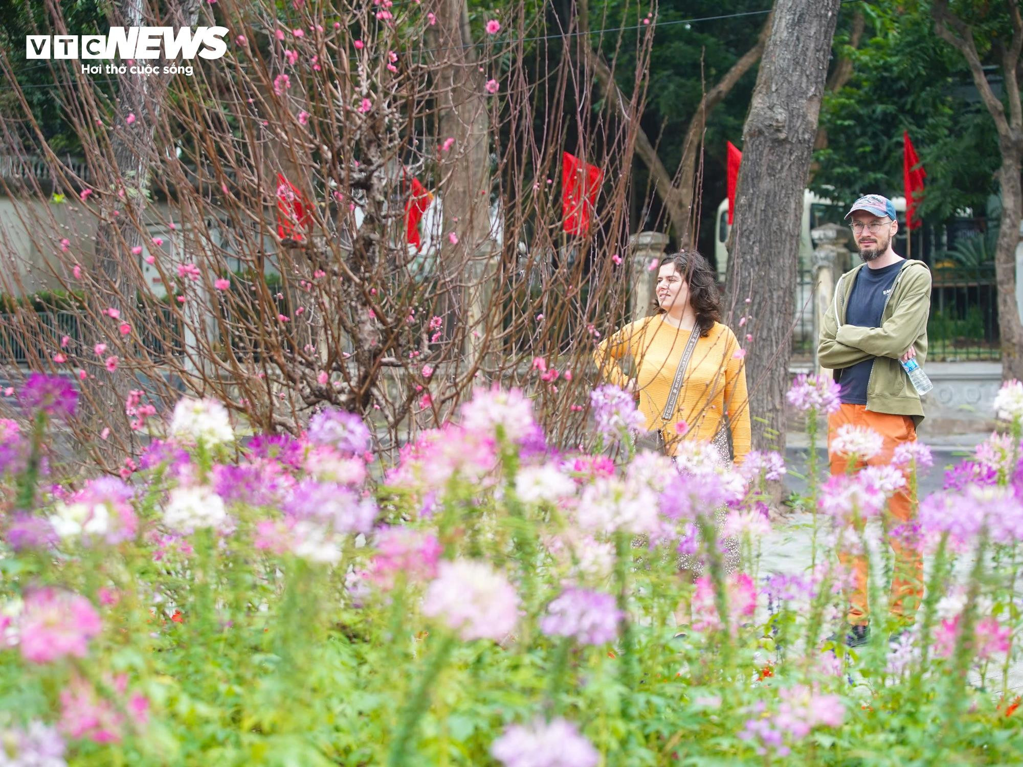 Thiếu nữ Hà Nội diện áo dài bên hoa đào, dạo hồ Gươm dịp cuối năm - 9