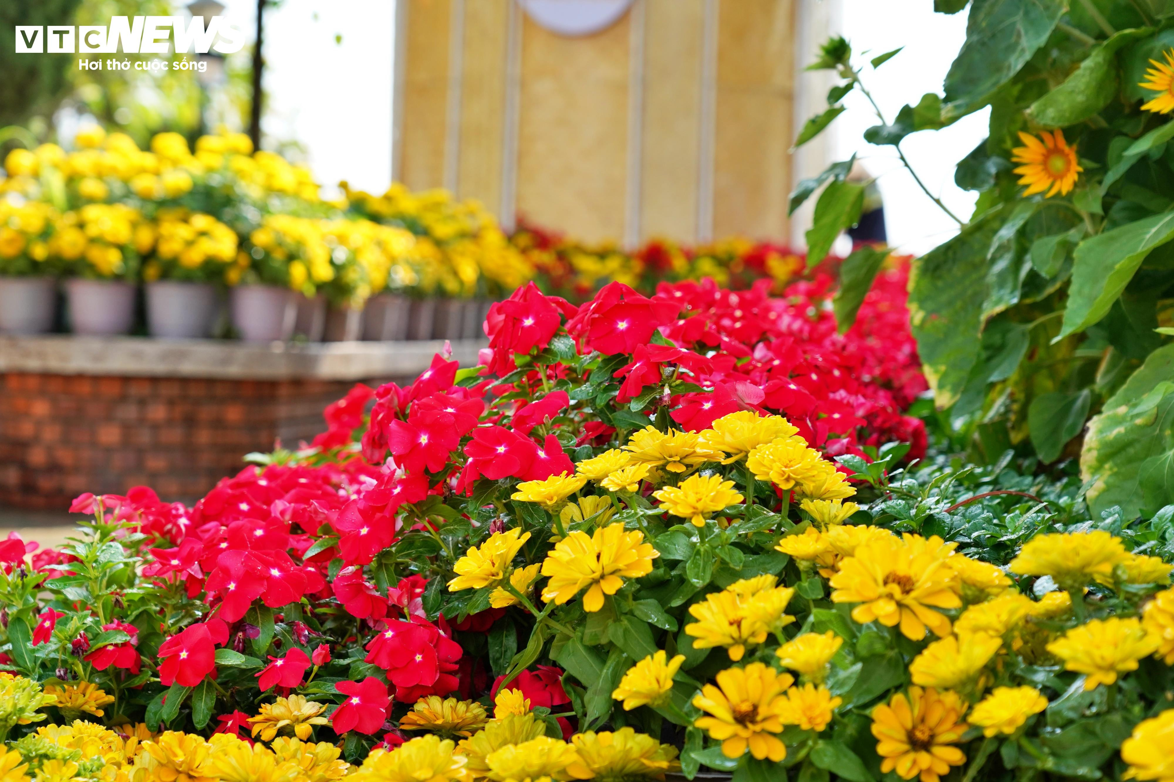 Lộ diện linh vật rắn ở đường hoa ven sông Đồng Nai - 10