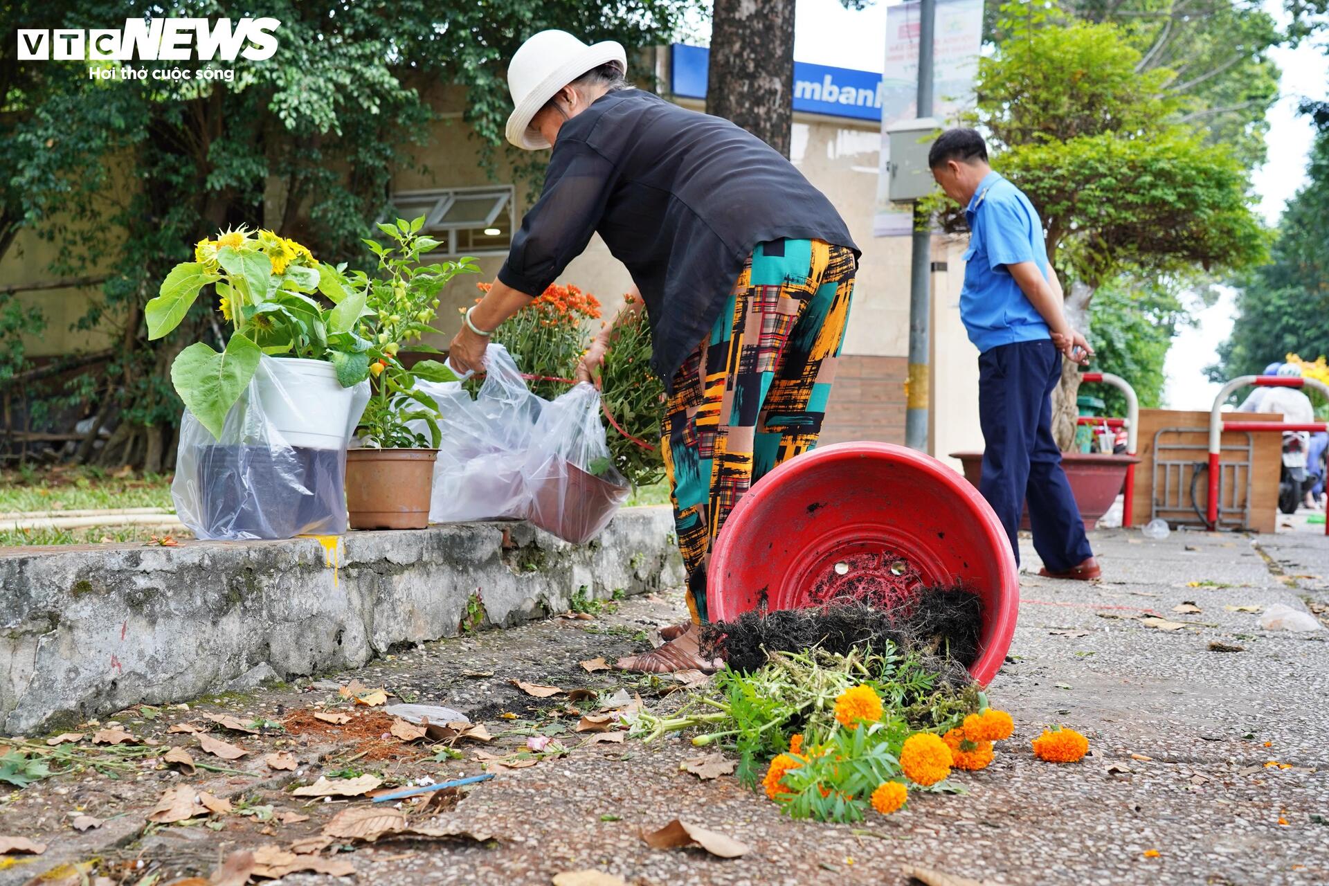 TP.HCM: Xả lỗ không ai mua, tiểu thương bỏ hoa, vứt chậu về quê đón giao thừa - 3