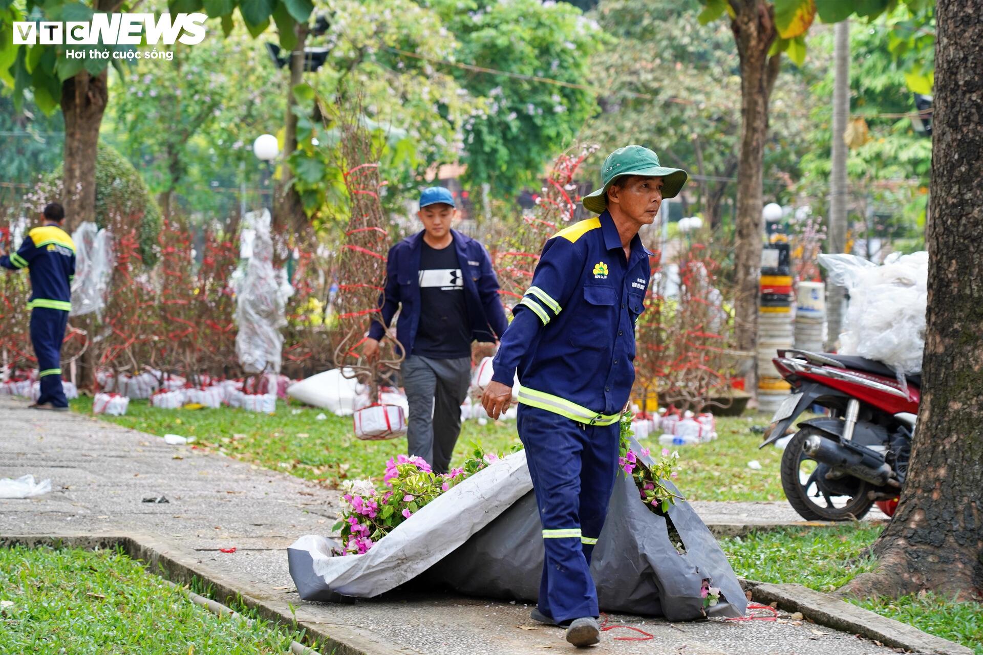 TP.HCM: Xả lỗ không ai mua, tiểu thương bỏ hoa, vứt chậu về quê đón giao thừa - 2