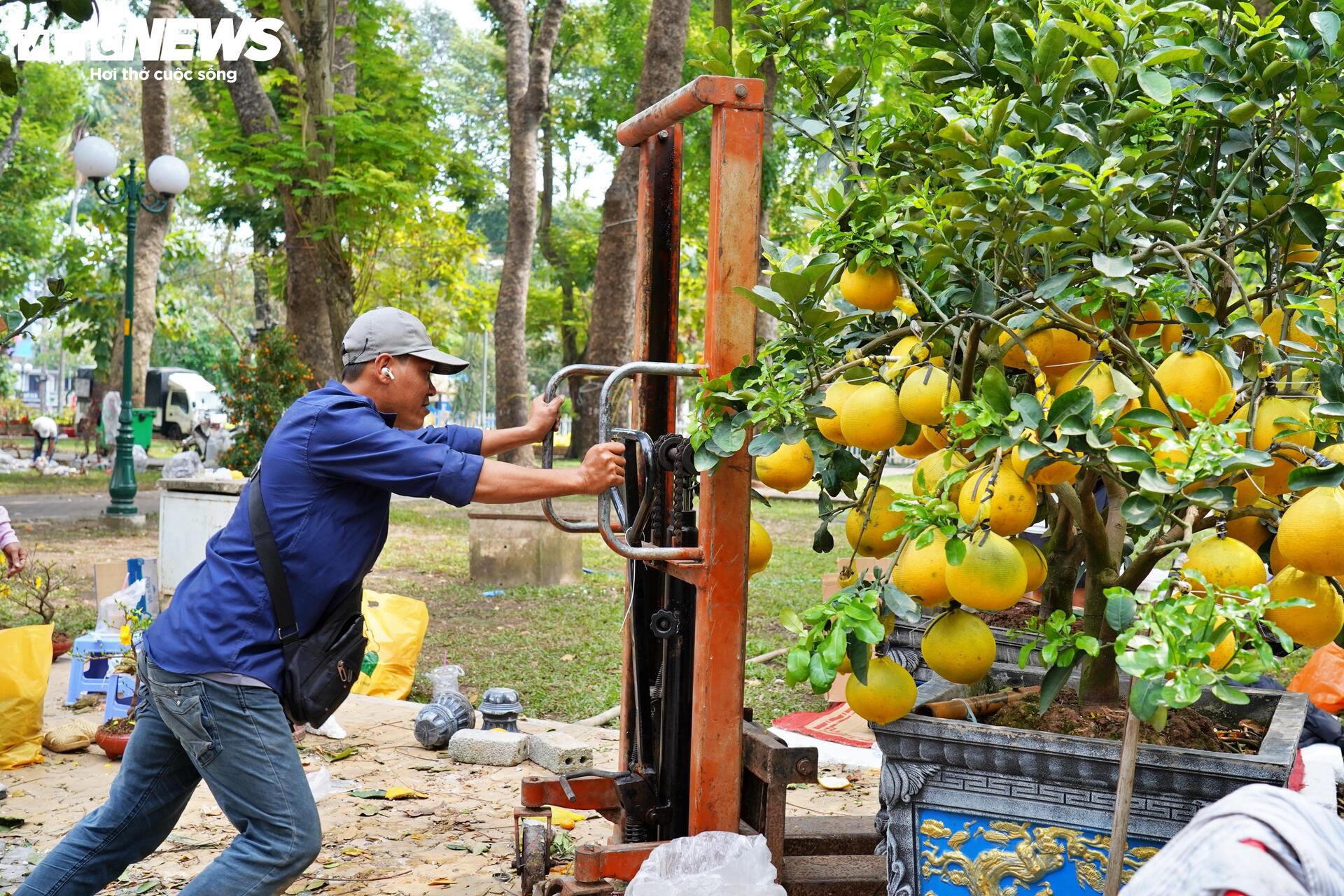 TP.HCM: Xả lỗ không ai mua, tiểu thương bỏ hoa, vứt chậu về quê đón giao thừa - 14