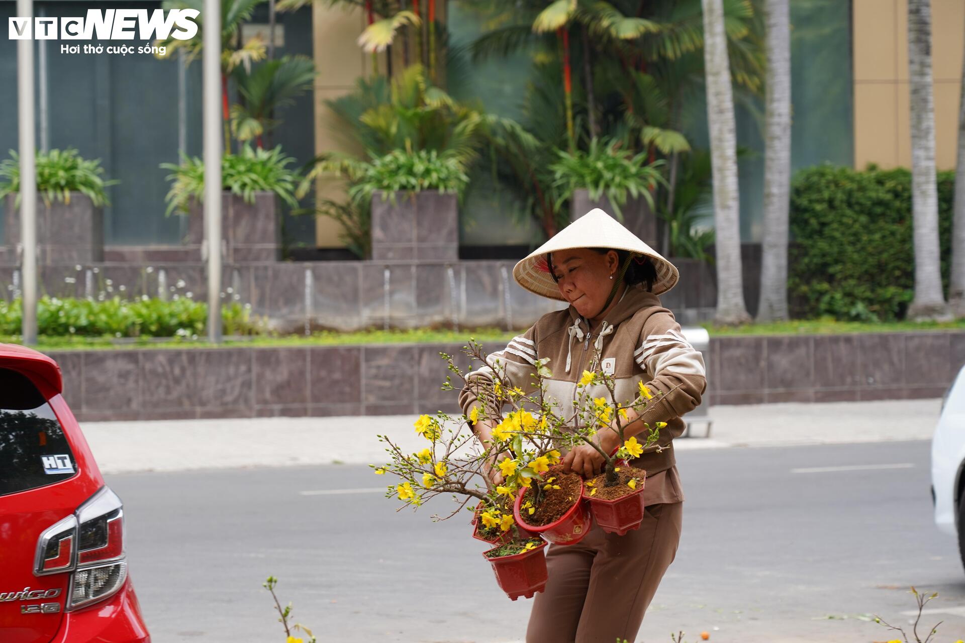 TP.HCM: Xả lỗ không ai mua, tiểu thương bỏ hoa, vứt chậu về quê đón giao thừa - 13