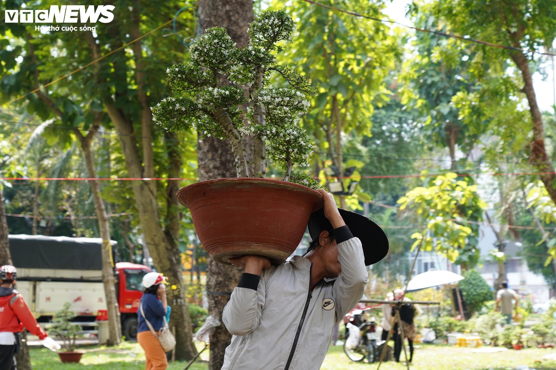 TP.HCM: Xả lỗ không ai mua, tiểu thương bỏ hoa, vứt chậu về quê đón giao thừa - 12