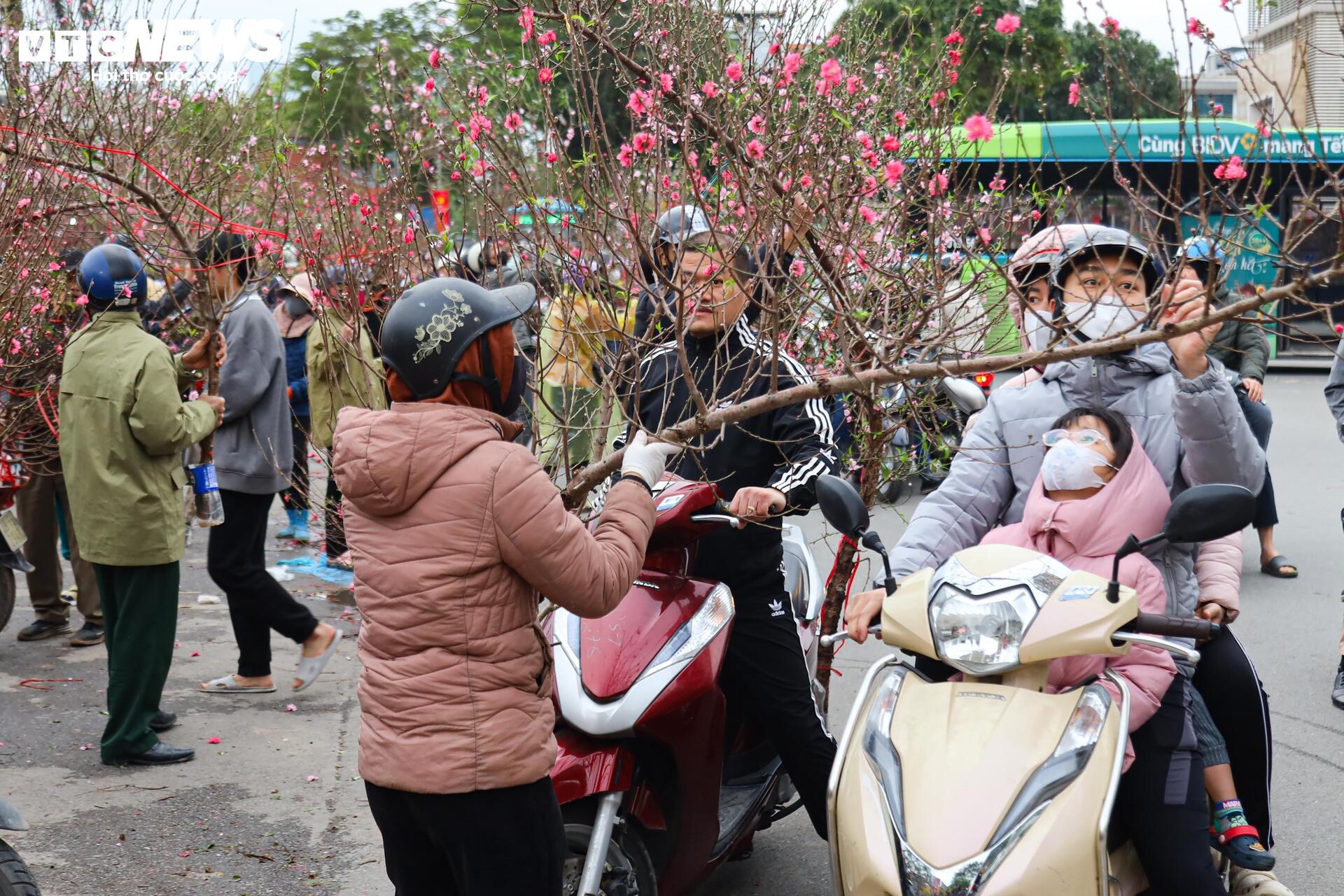 Hoa đào, mai vàng đại hạ giá, tiểu thương xả hàng về quê ăn Tết - 14