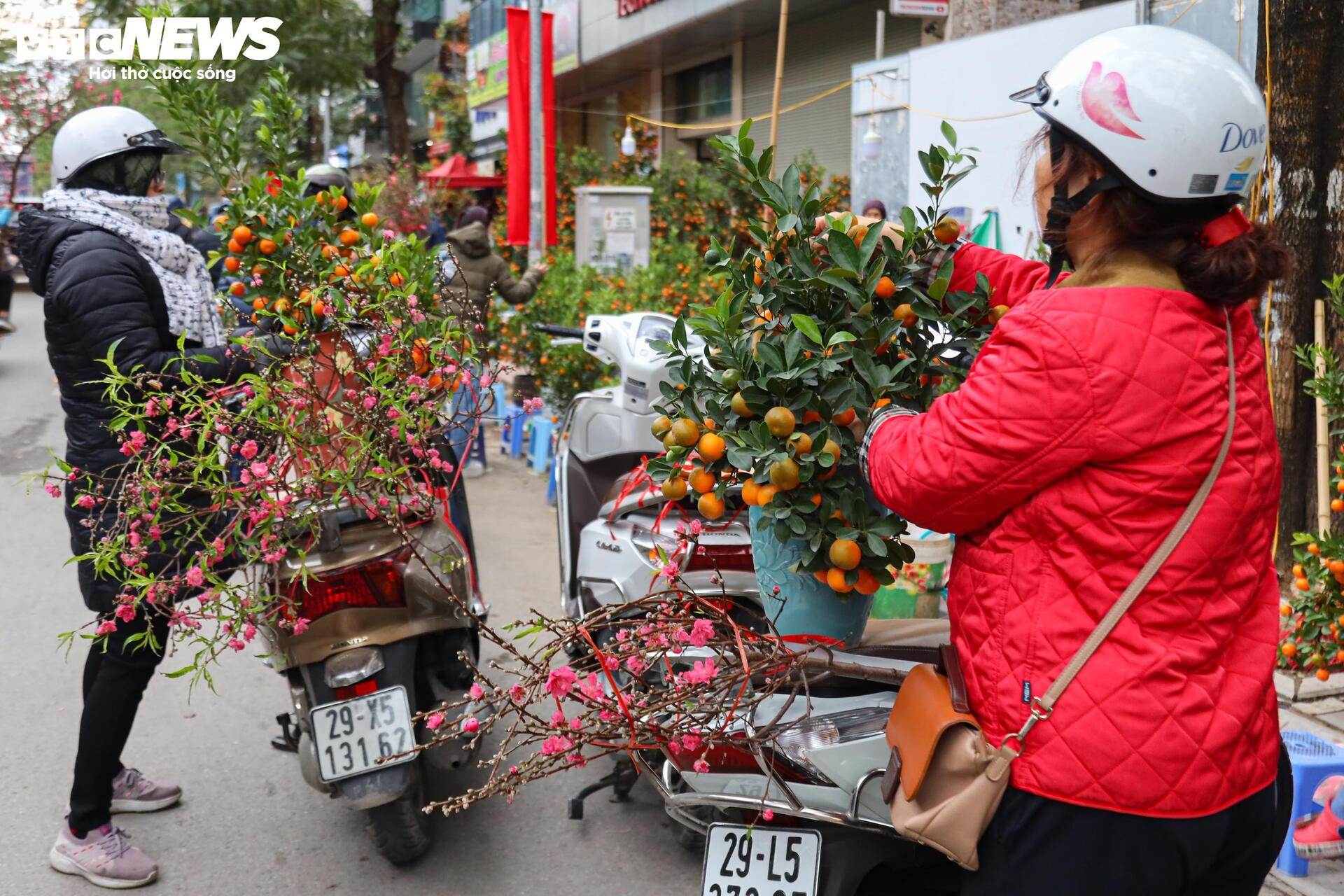 Hoa đào, mai vàng đại hạ giá, tiểu thương xả hàng về quê ăn Tết - 13